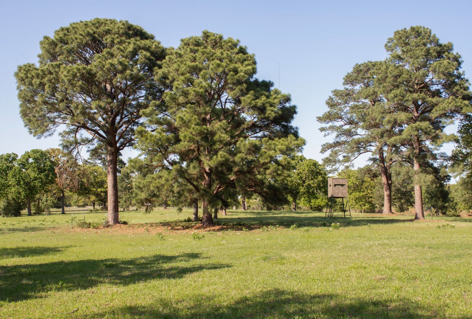main property photo 20