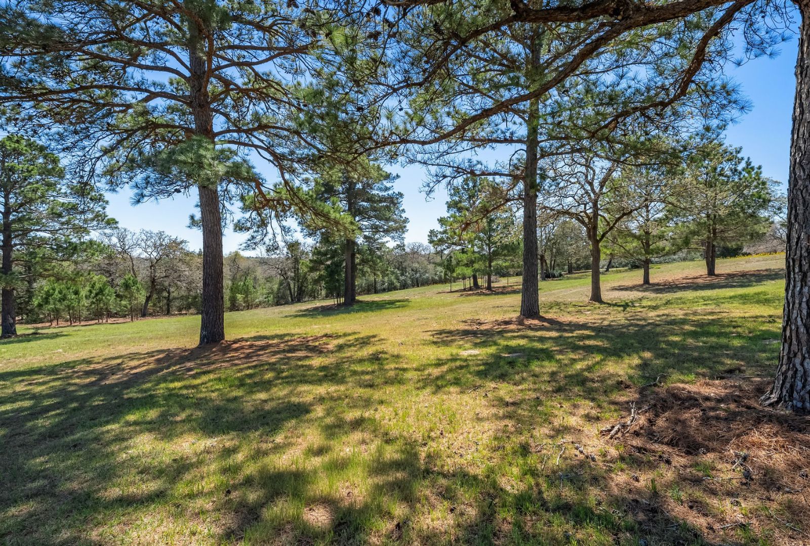 main property photo 36