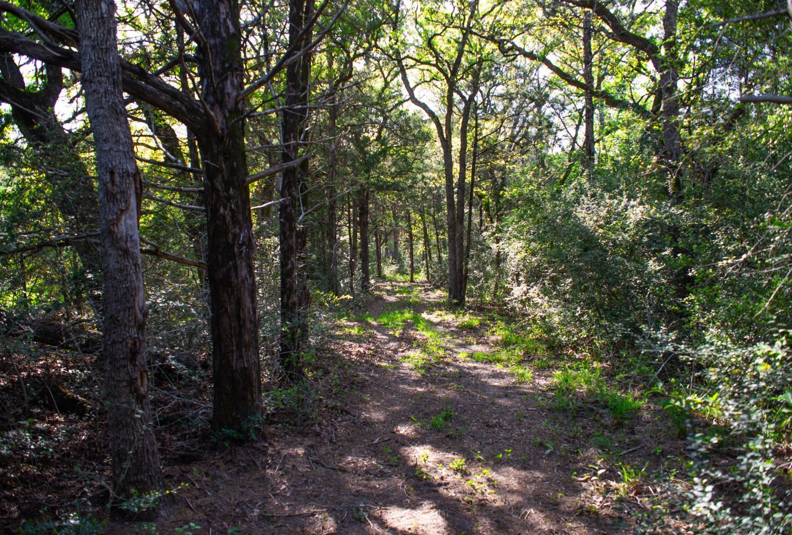 main property photo 38
