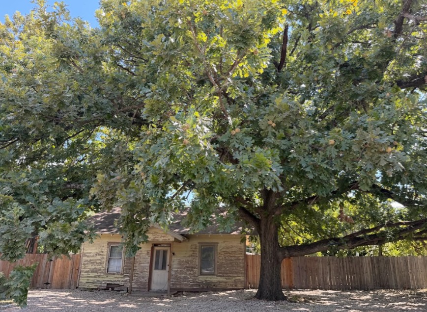 main property photo 14