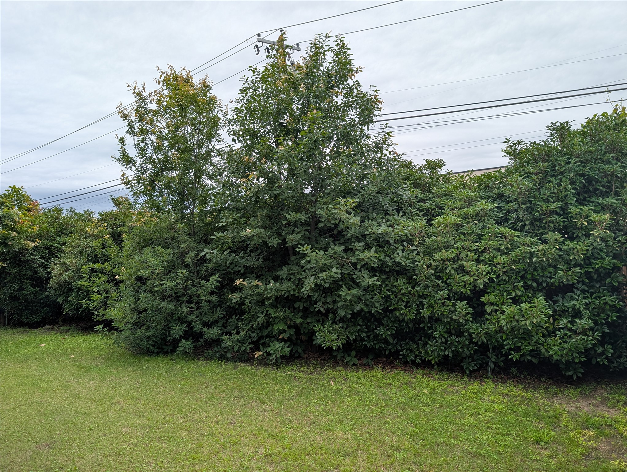 main property photo 12