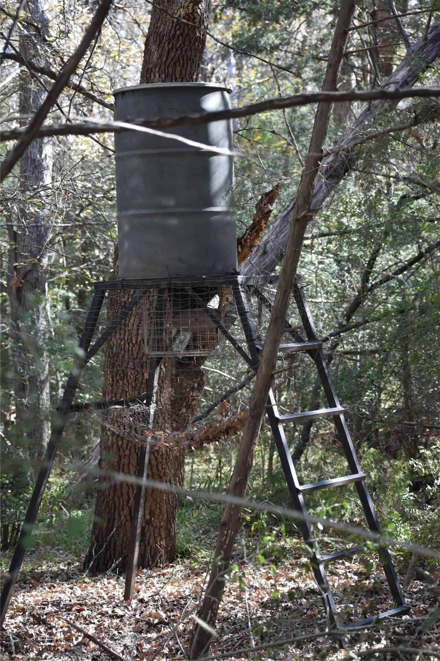 main property photo 32