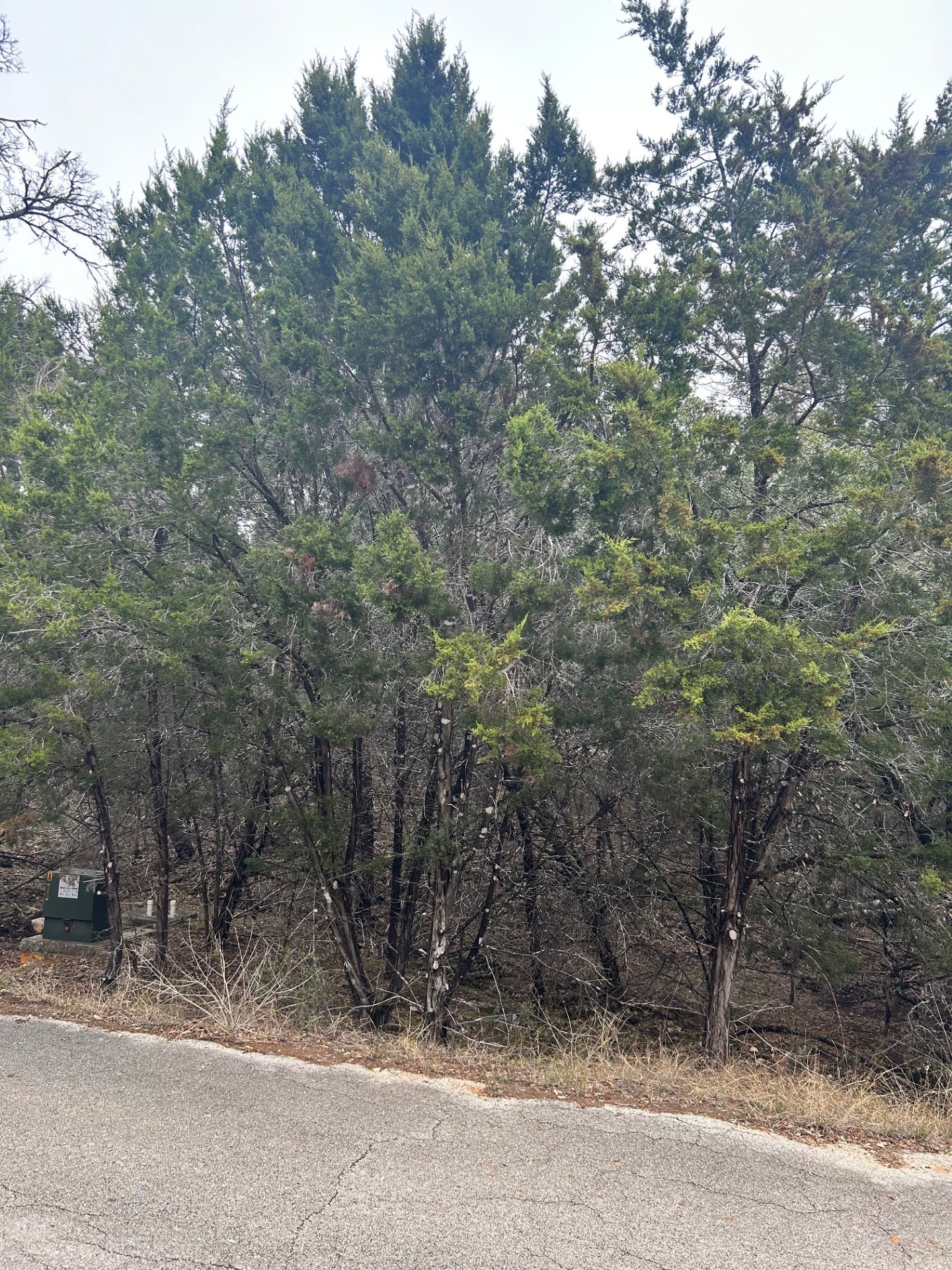 main property photo 11