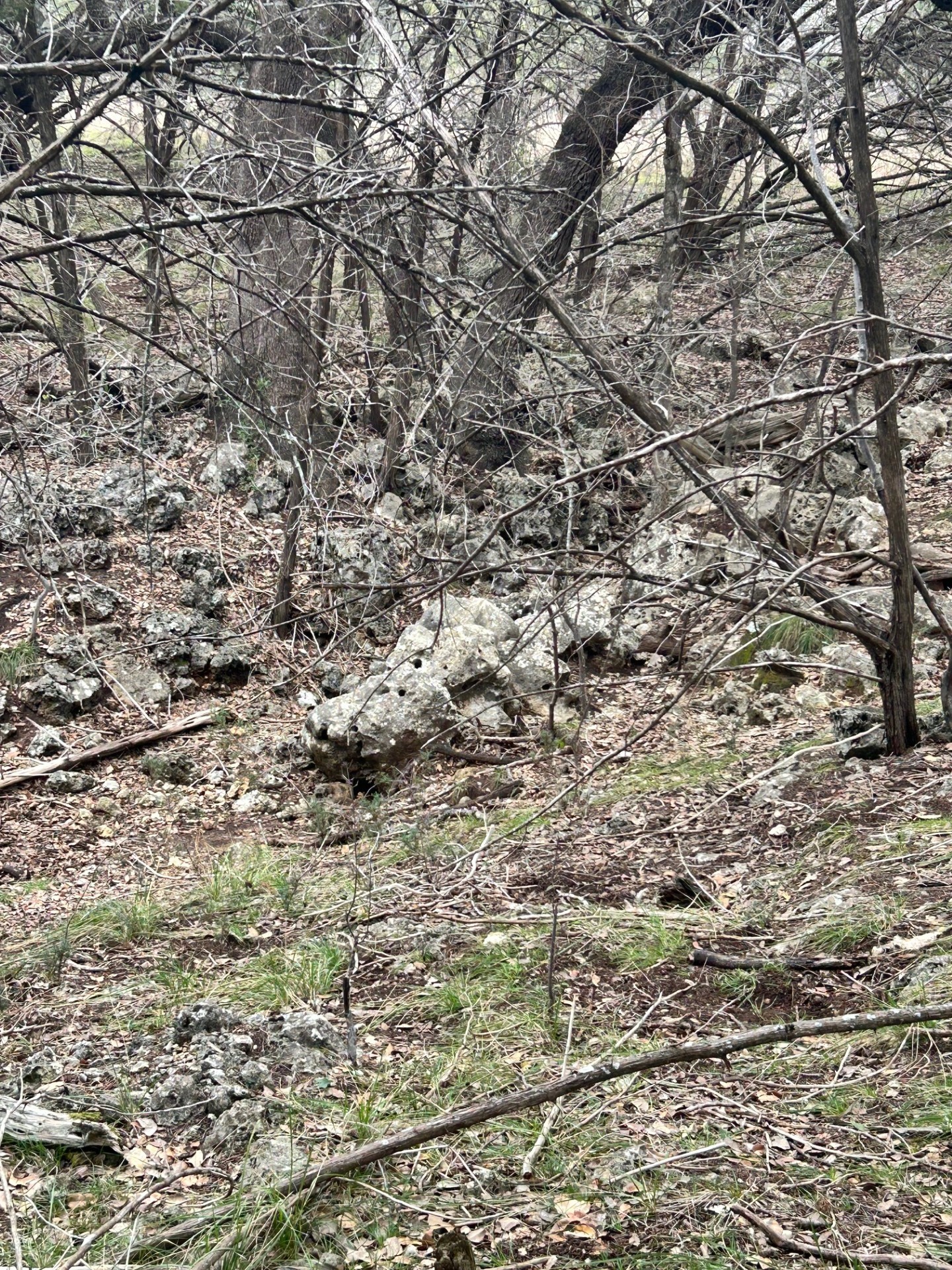 main property photo 7