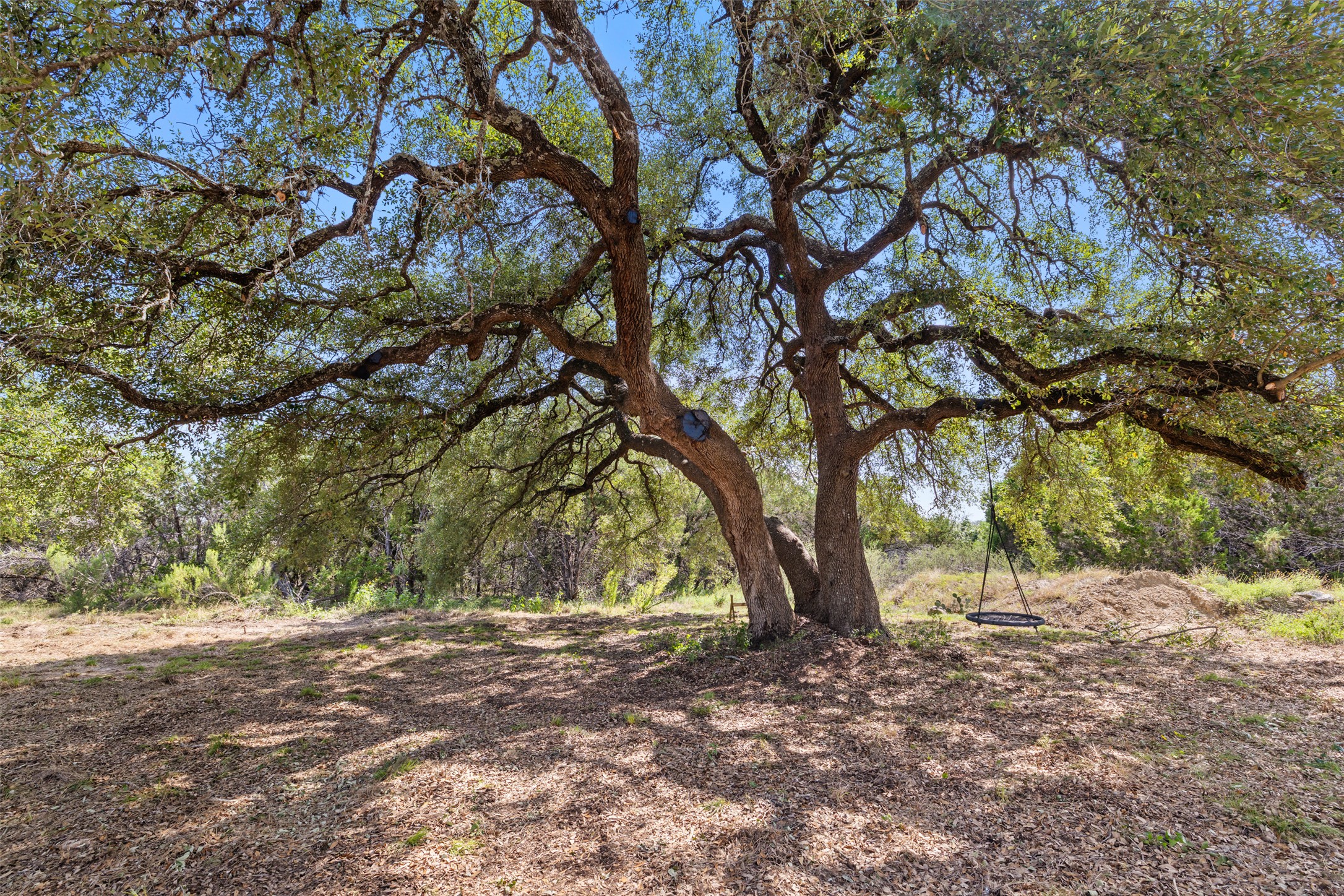 main property photo 11