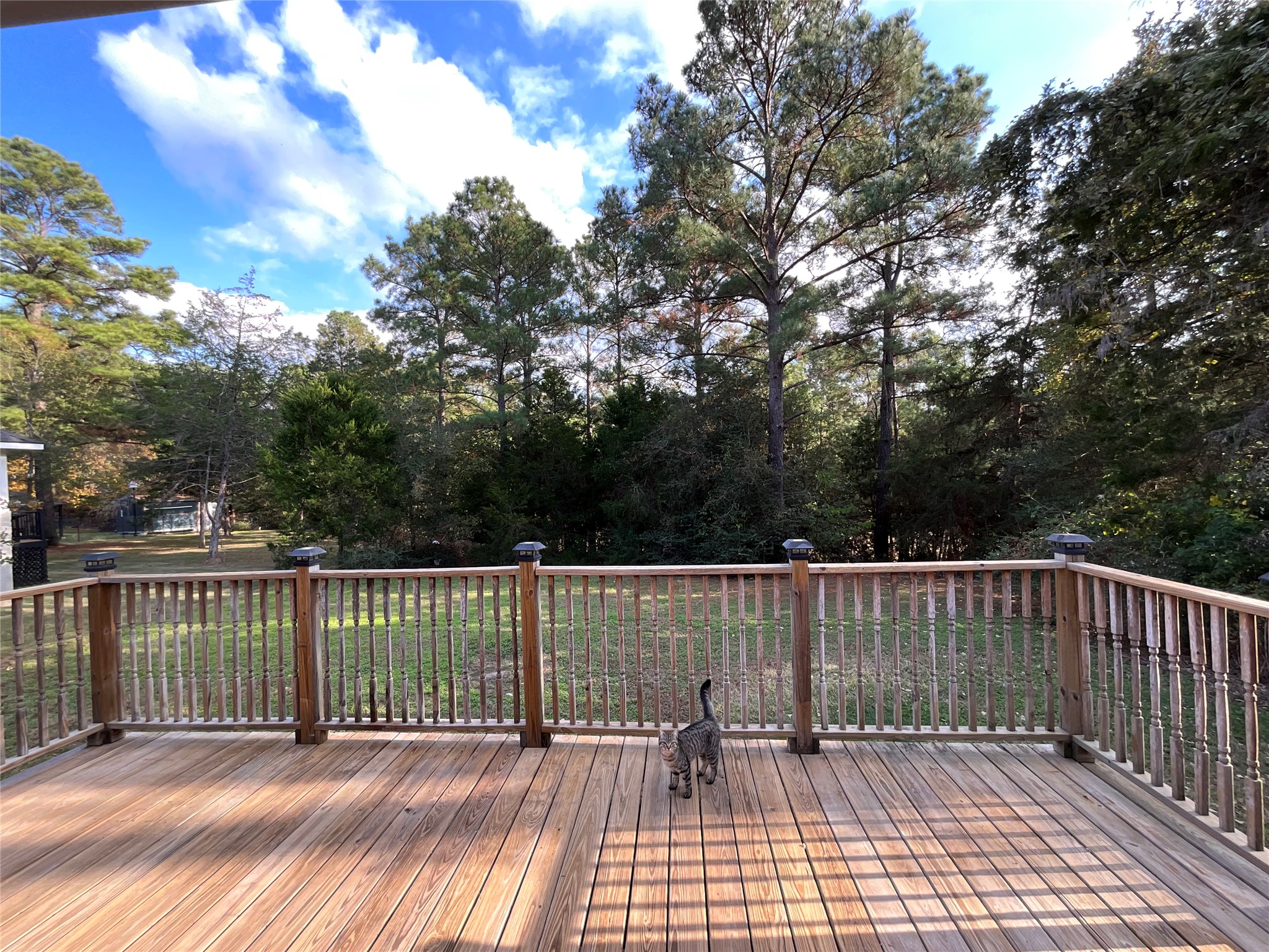 main property photo 21