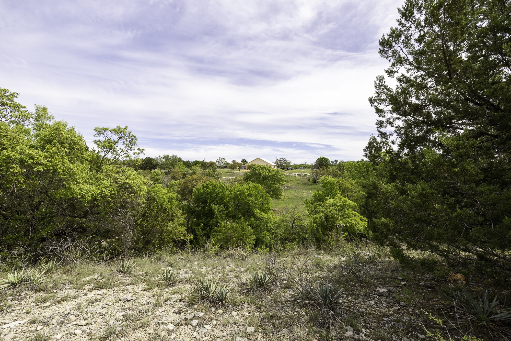 main property photo 26