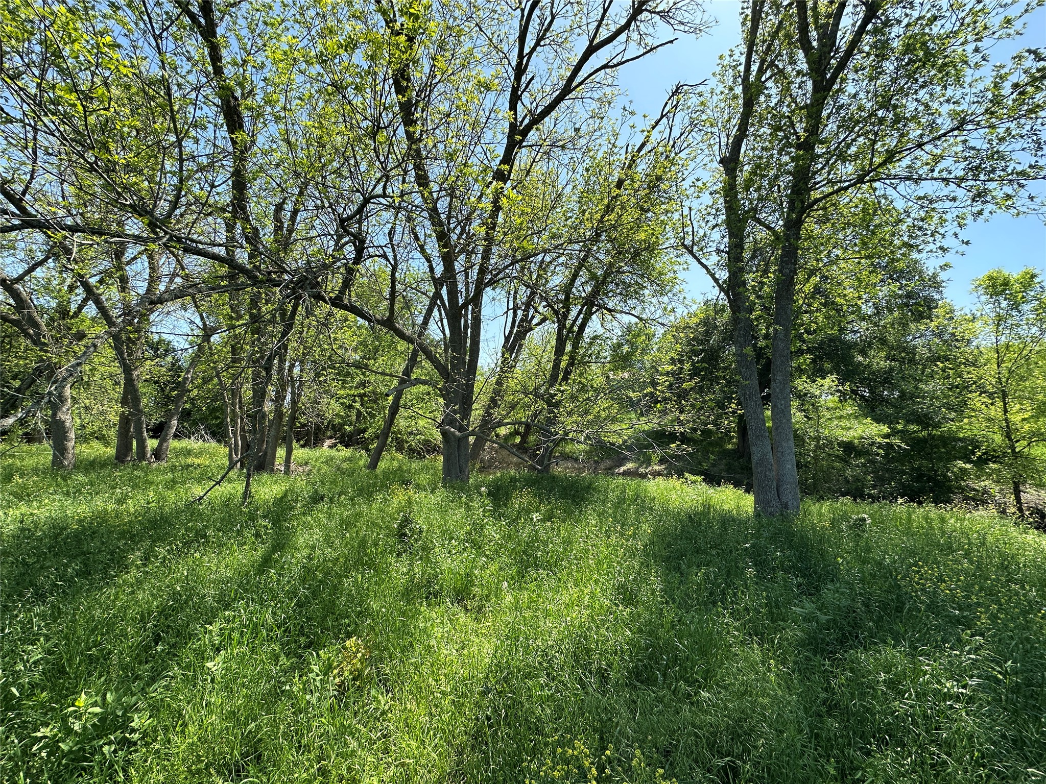 main property photo 23