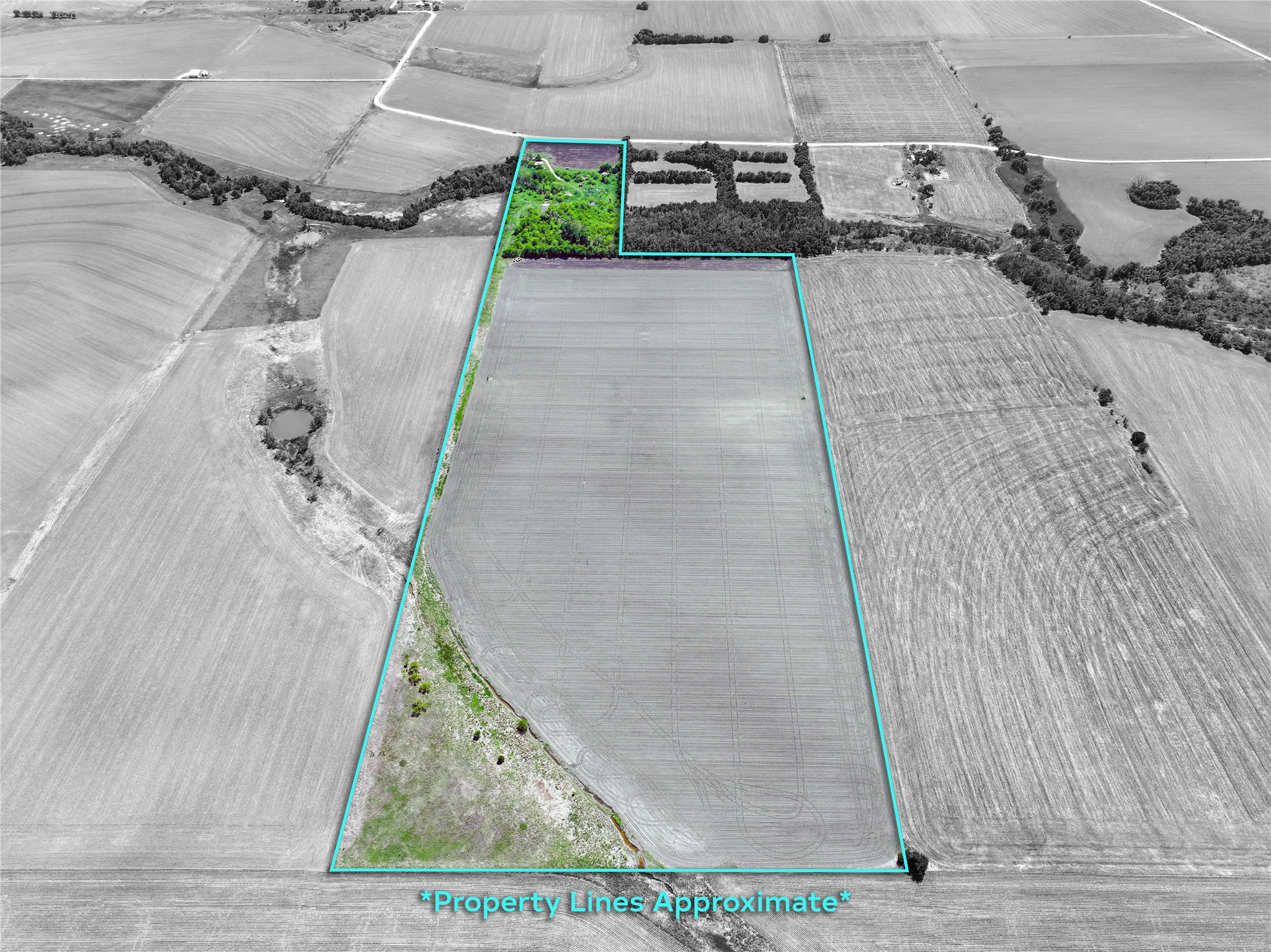 main property photo 5