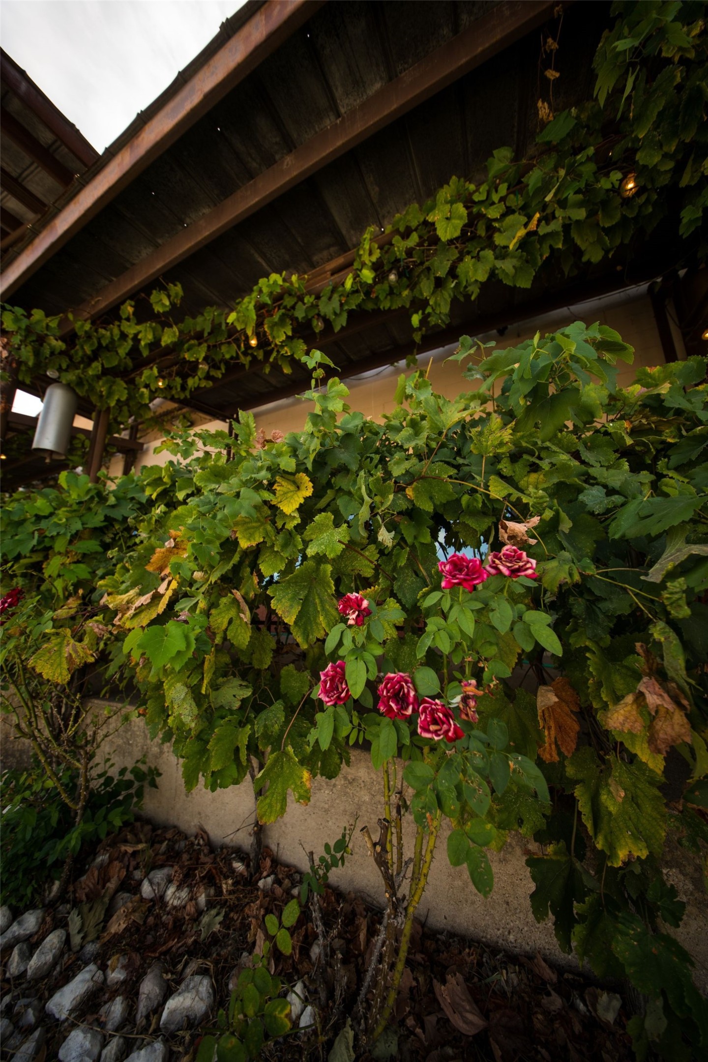 main property photo 24