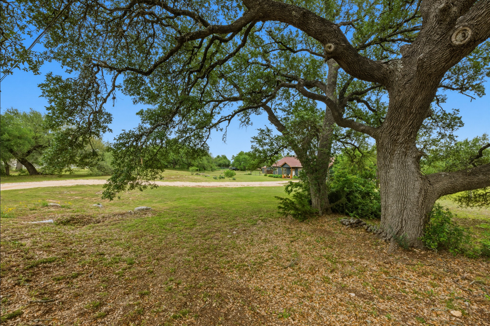 main property photo 30