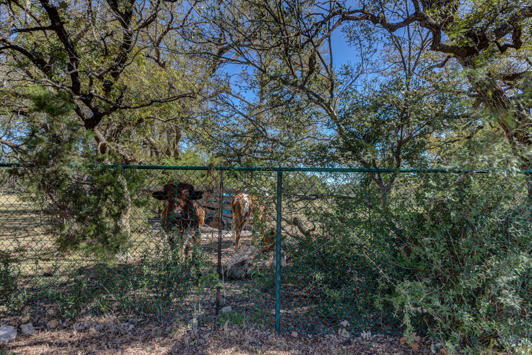 main property photo 27