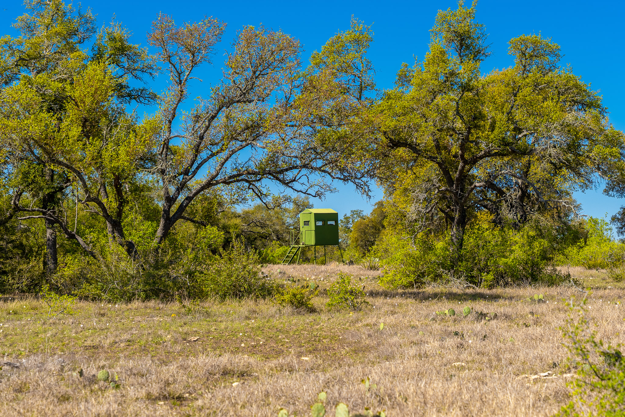 main property photo 34