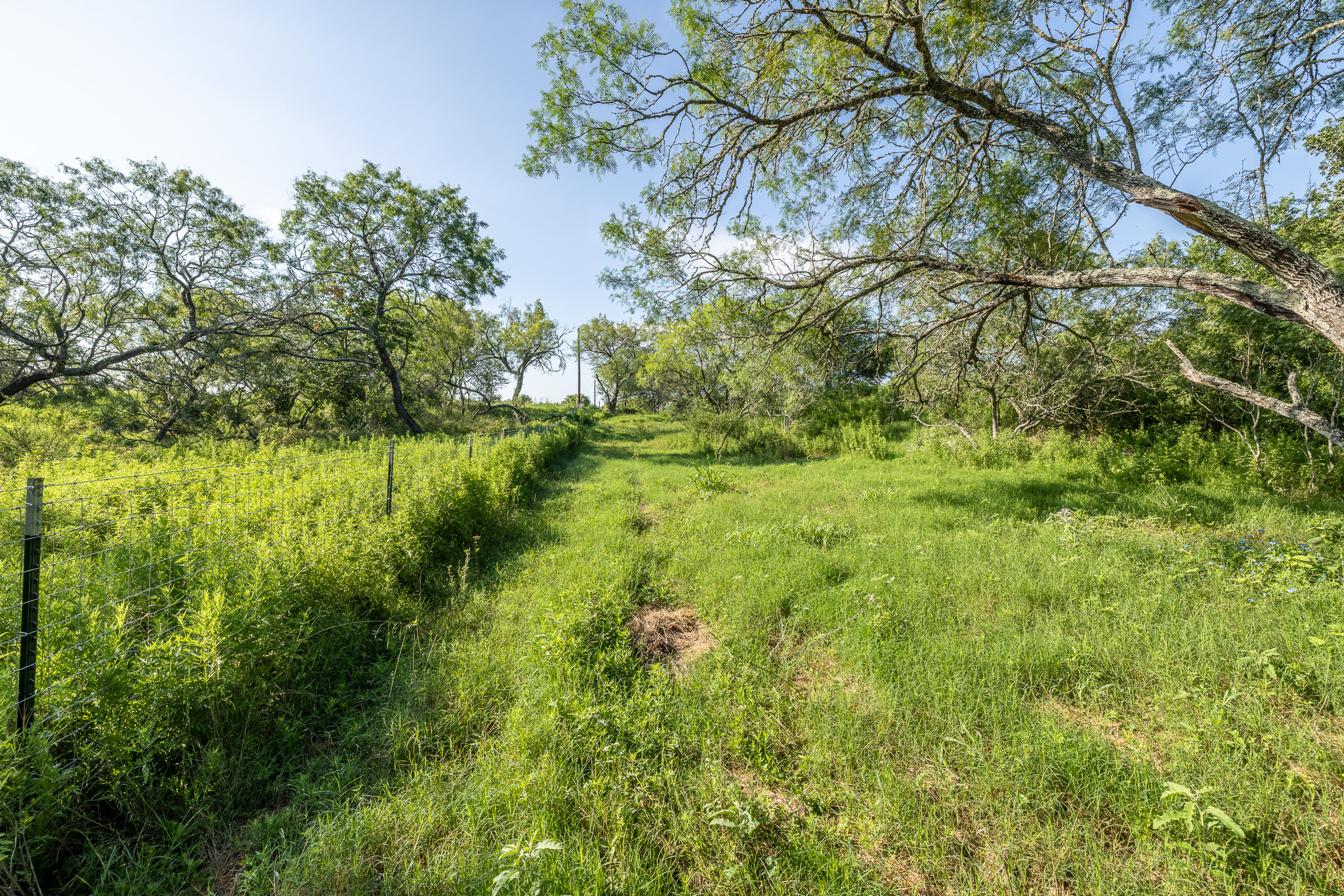 main property photo 10