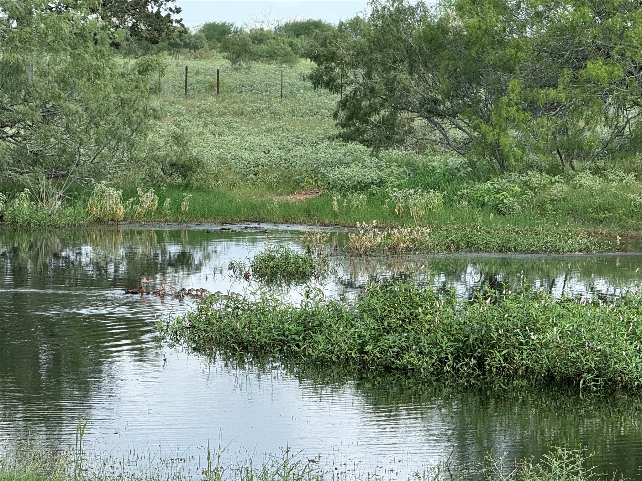 main property photo 8