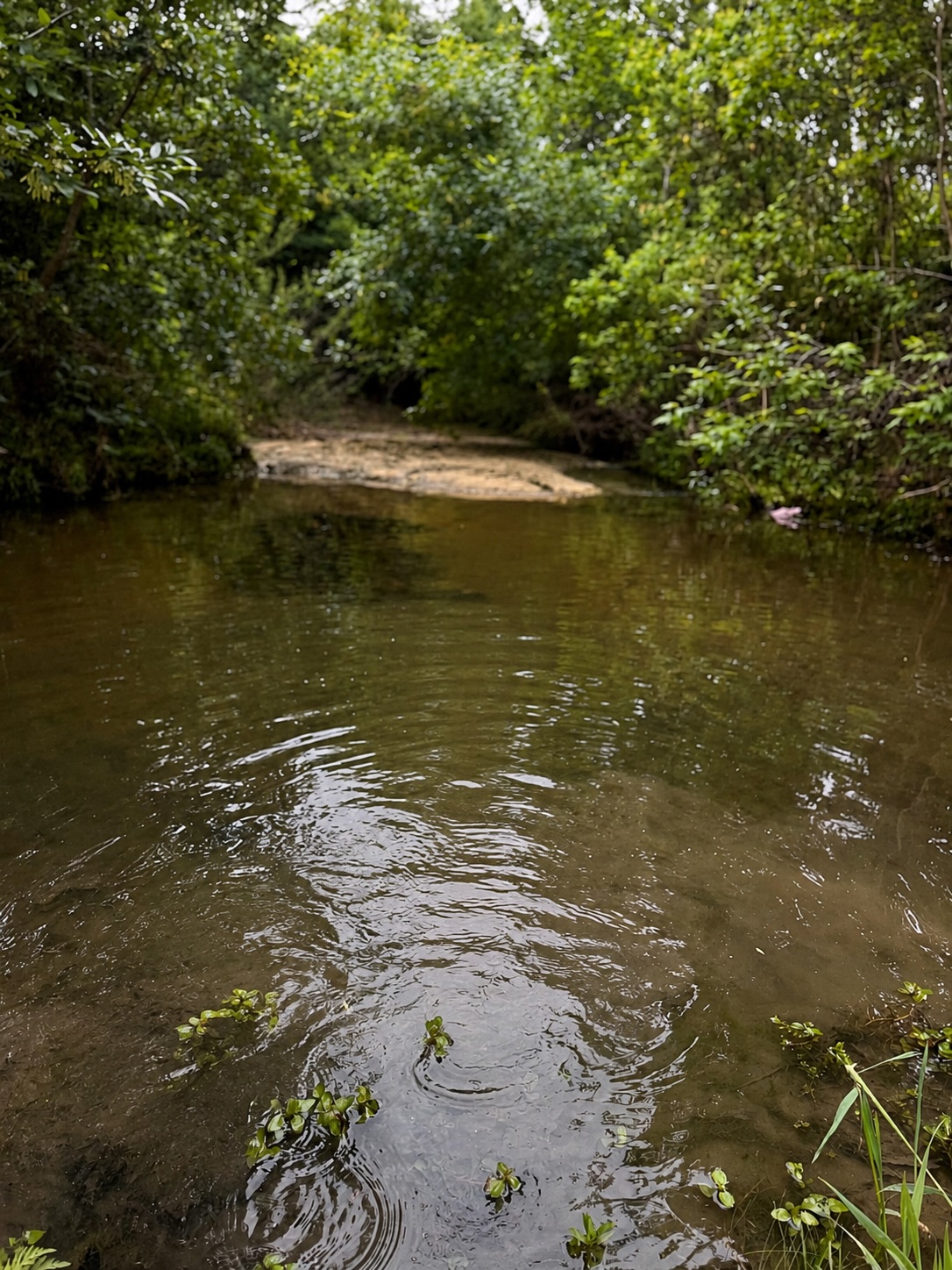 main property photo 39