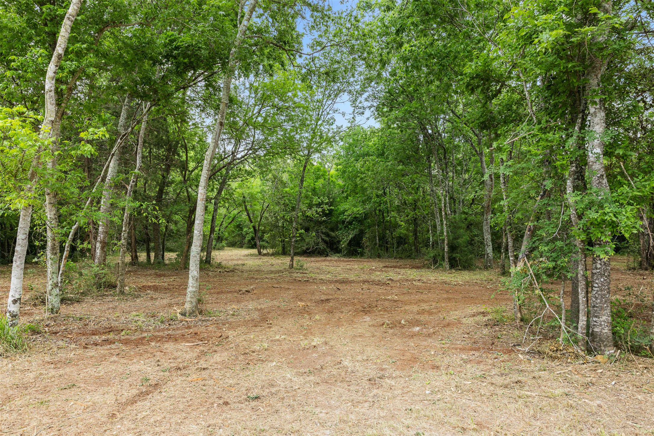 main property photo 9