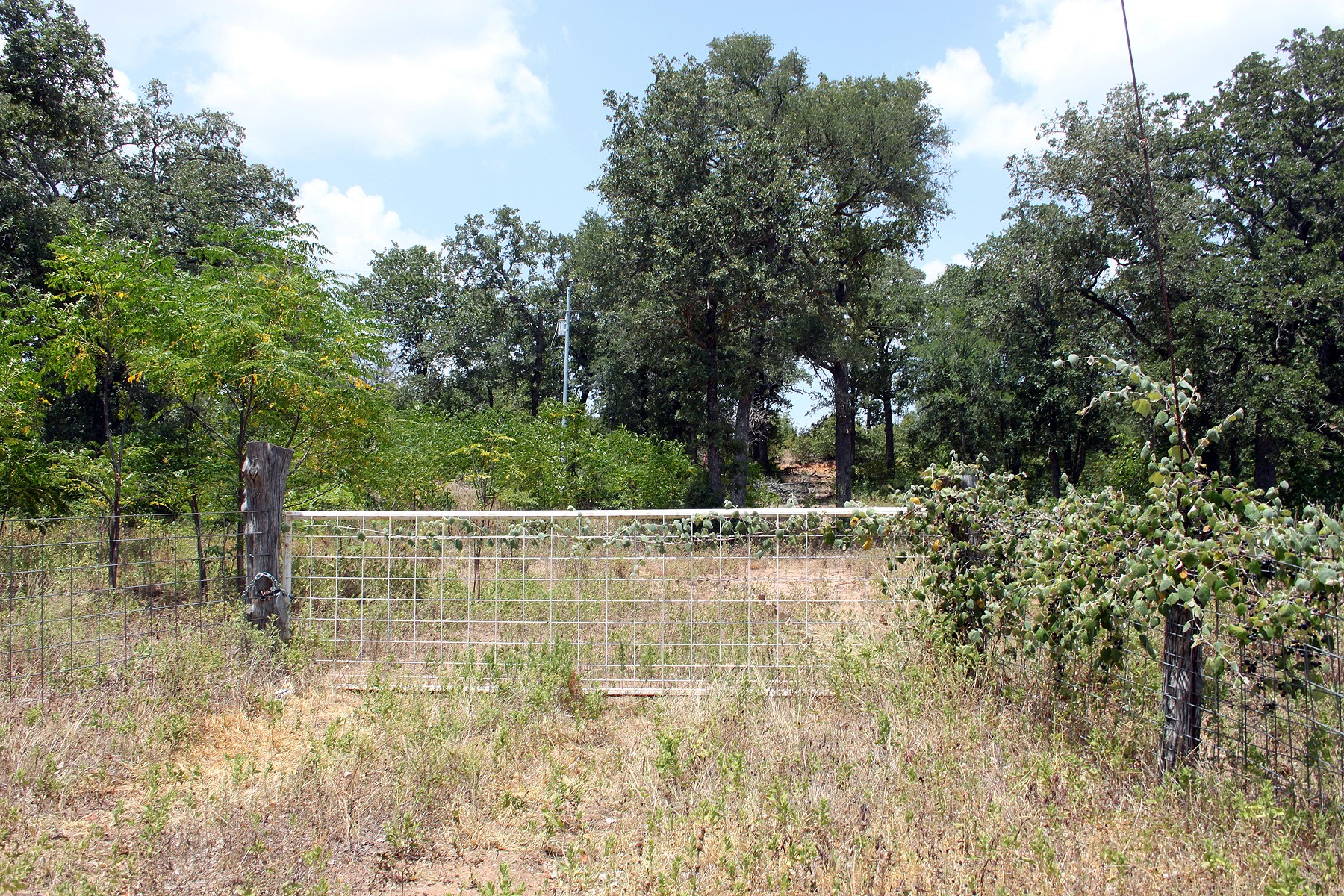 main property photo 6