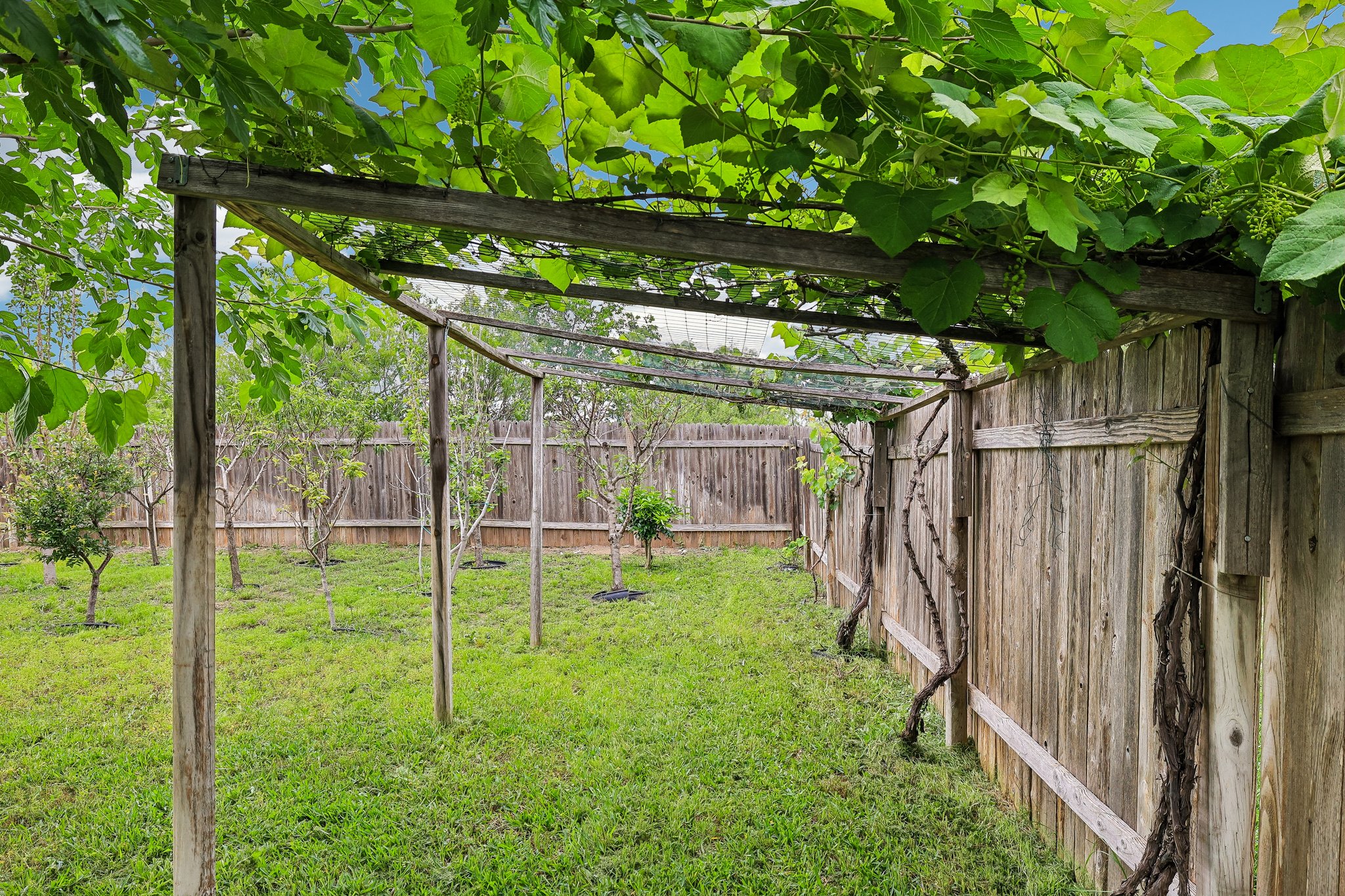 main property photo 35