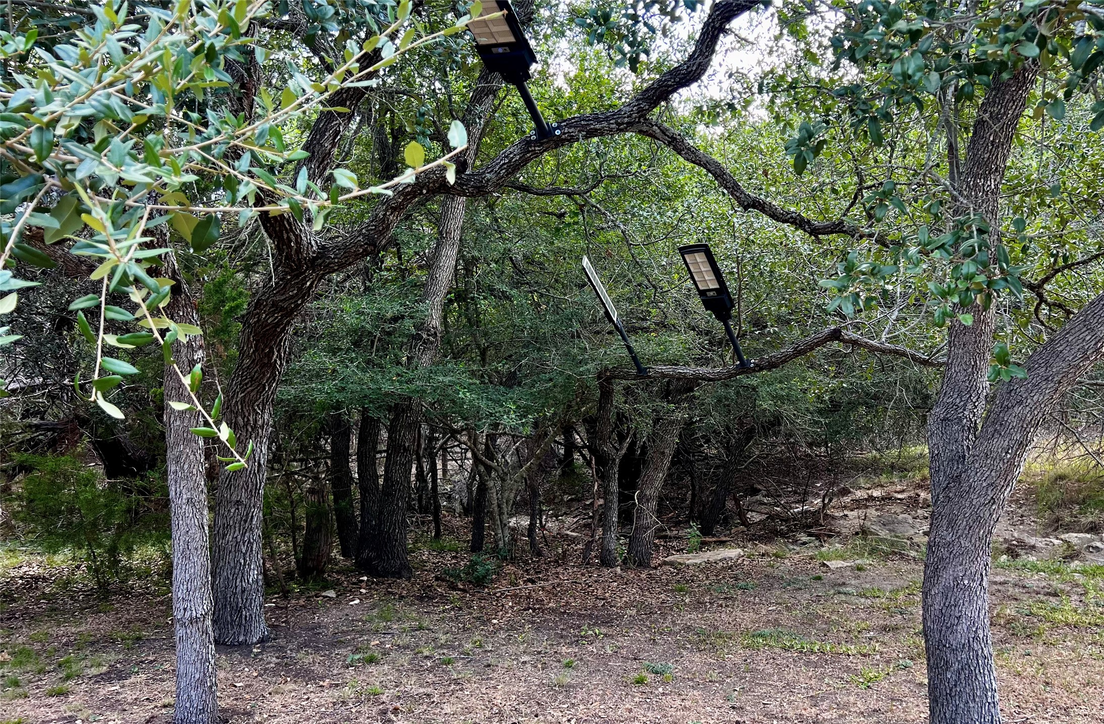 main property photo 33
