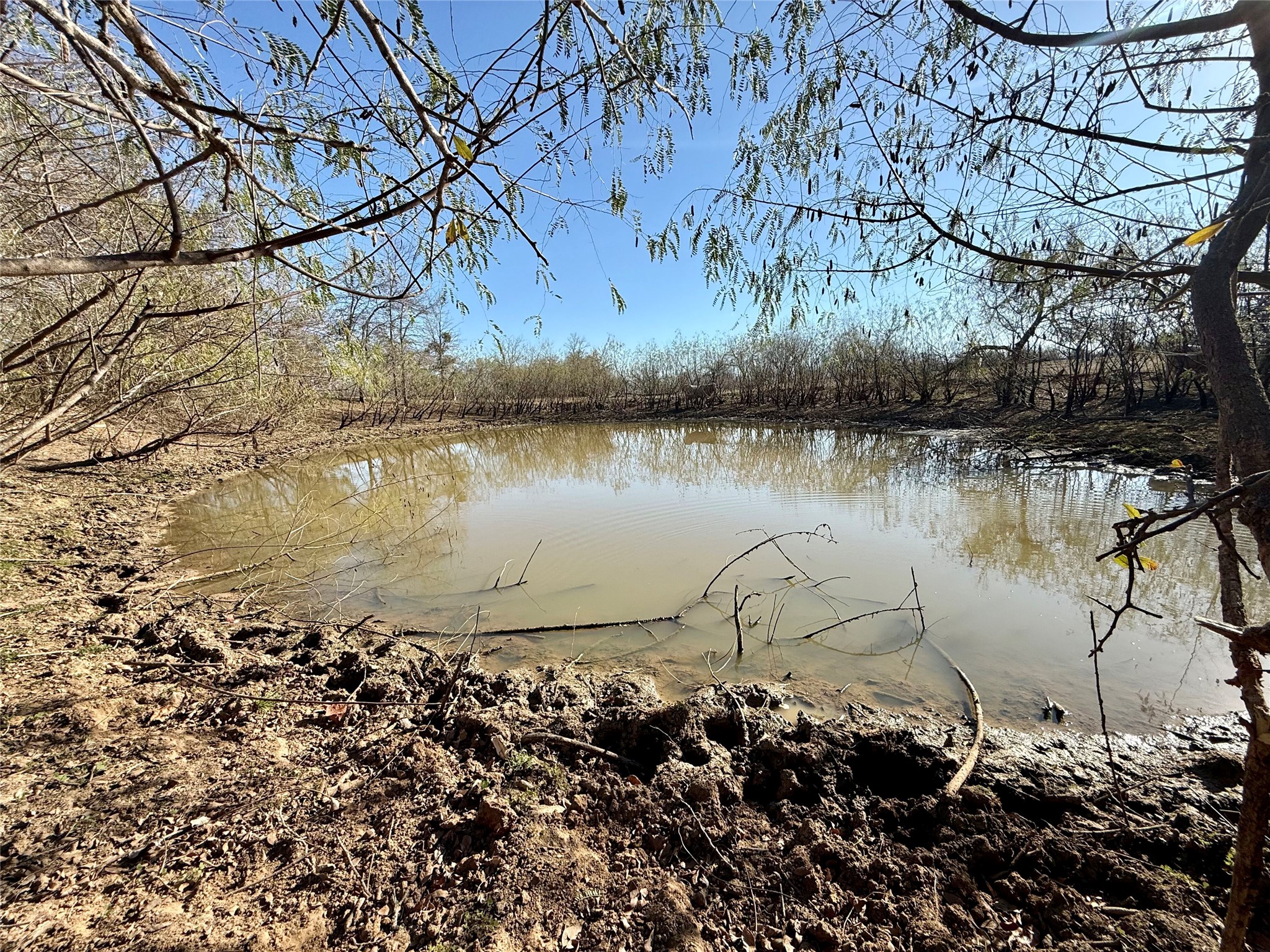 main property photo 21