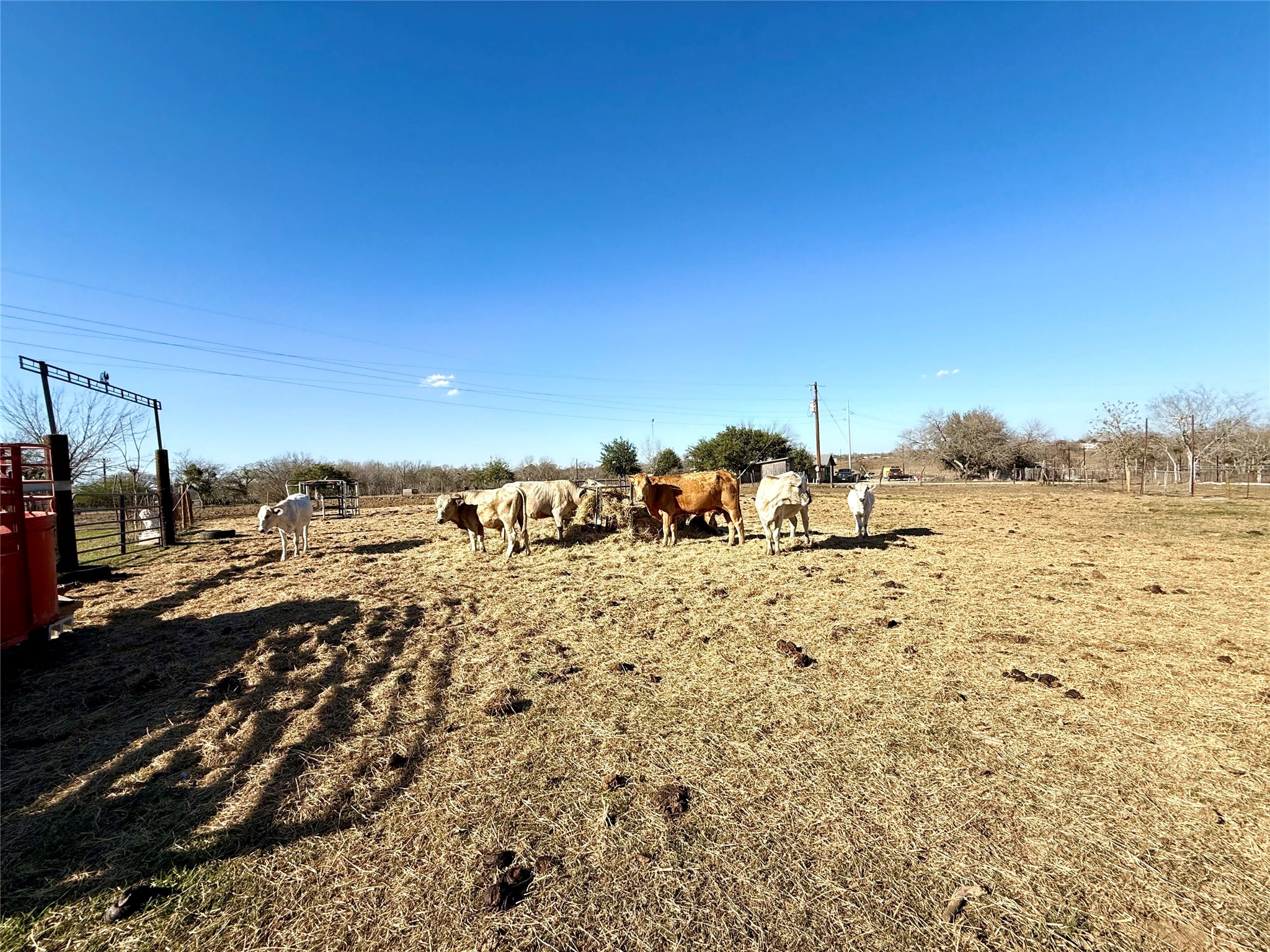 main property photo 24