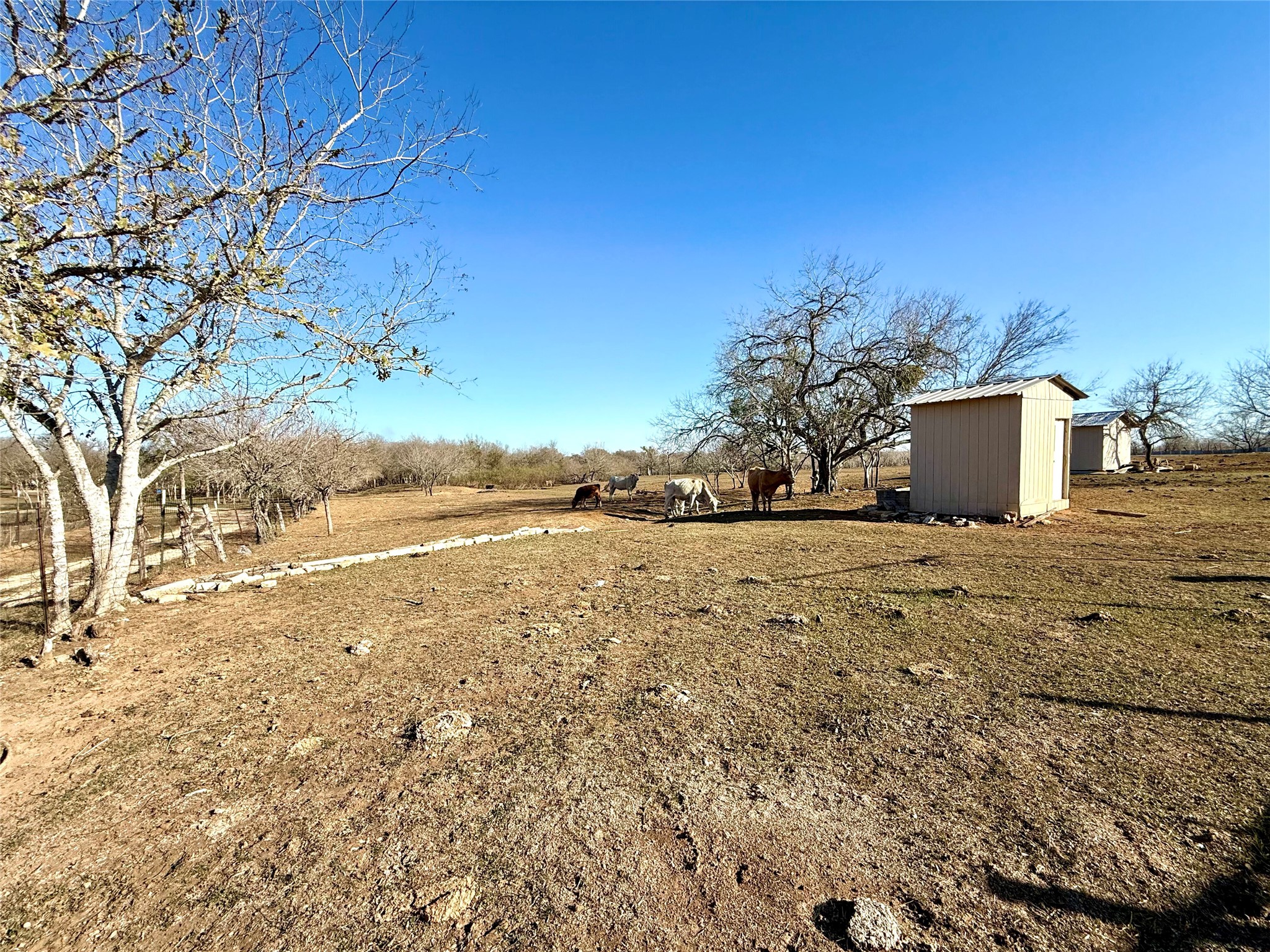 main property photo 29