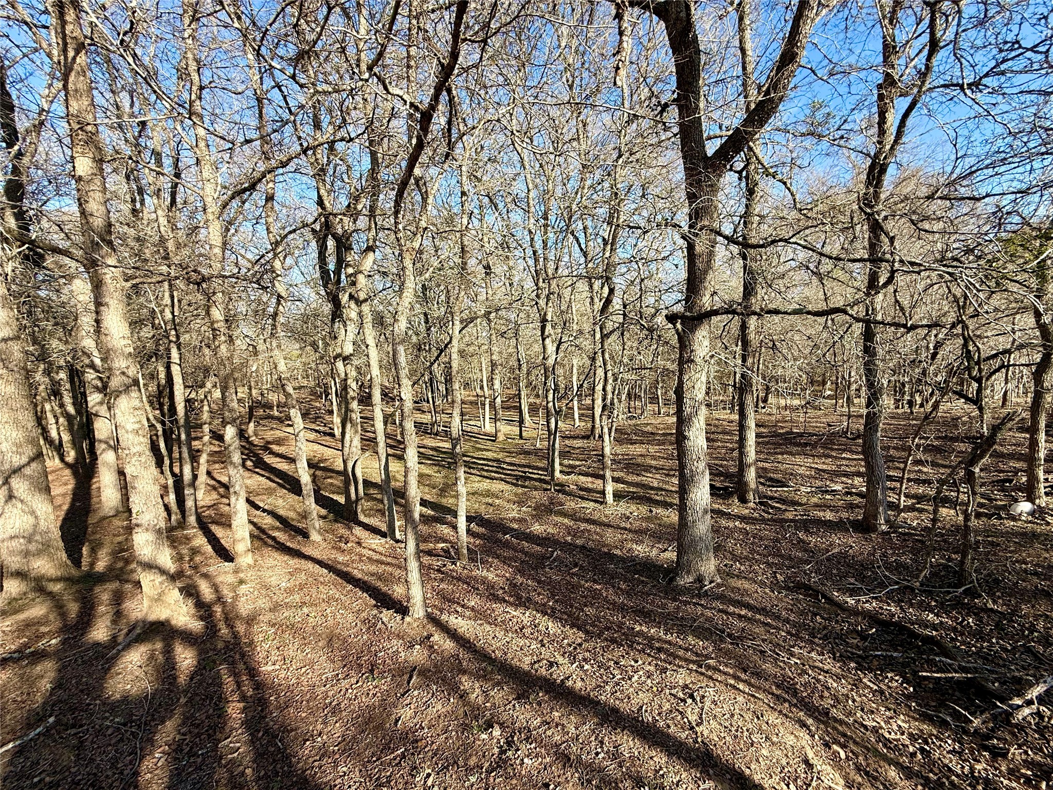 main property photo 35