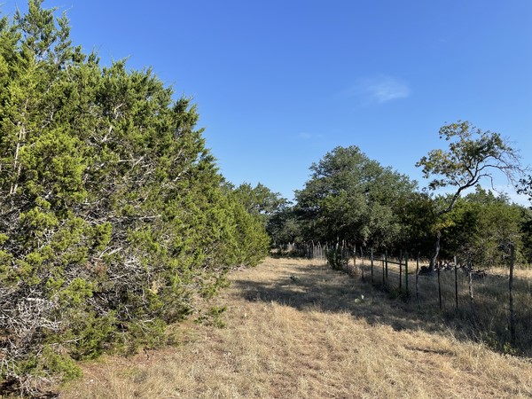 main property photo 30