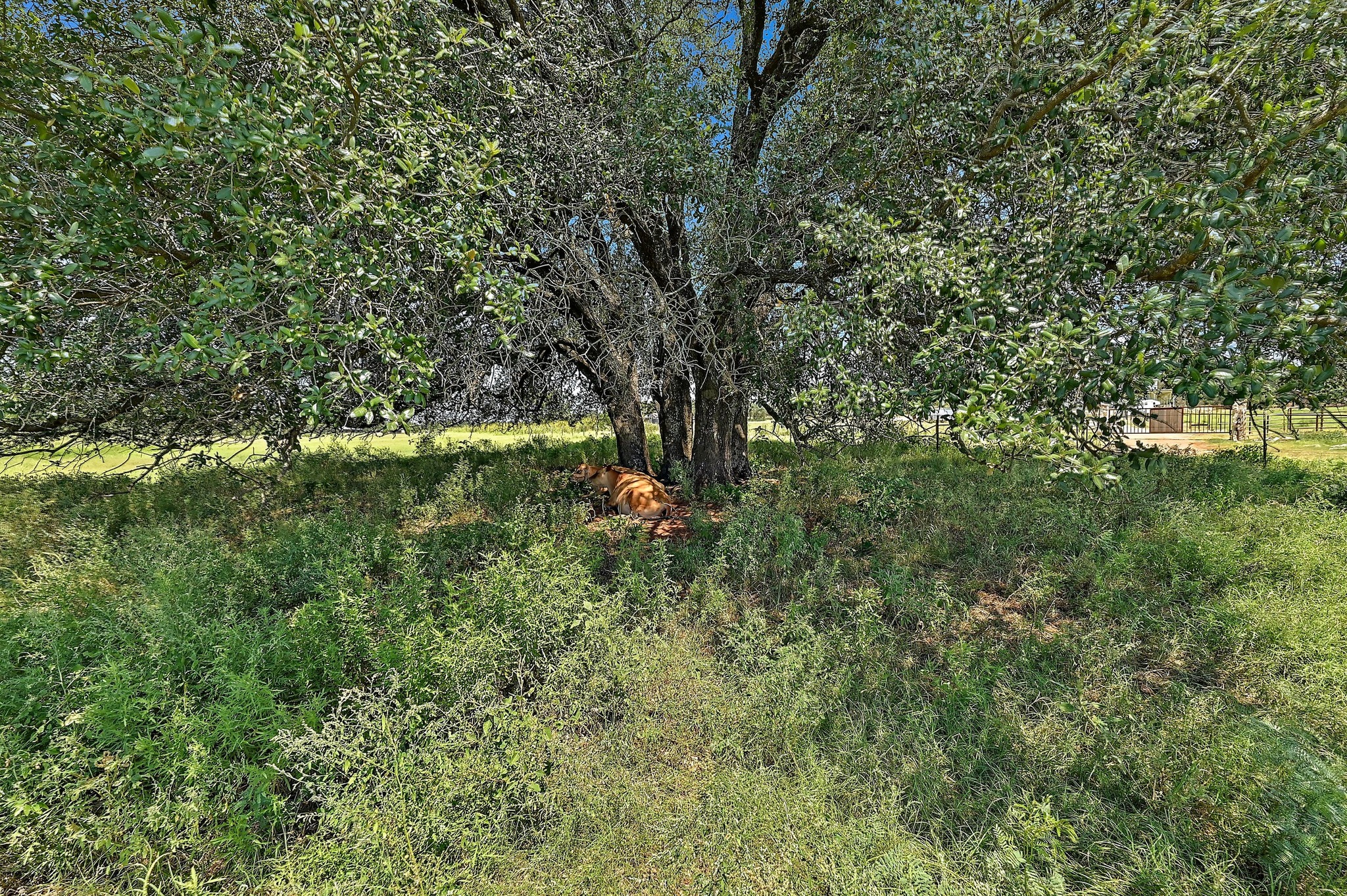 main property photo 32