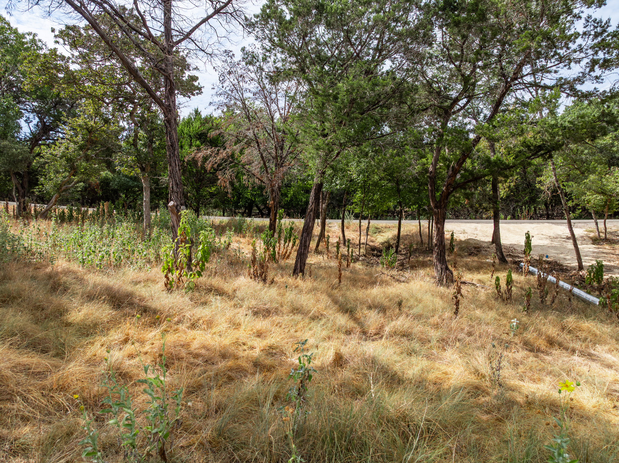 main property photo 24