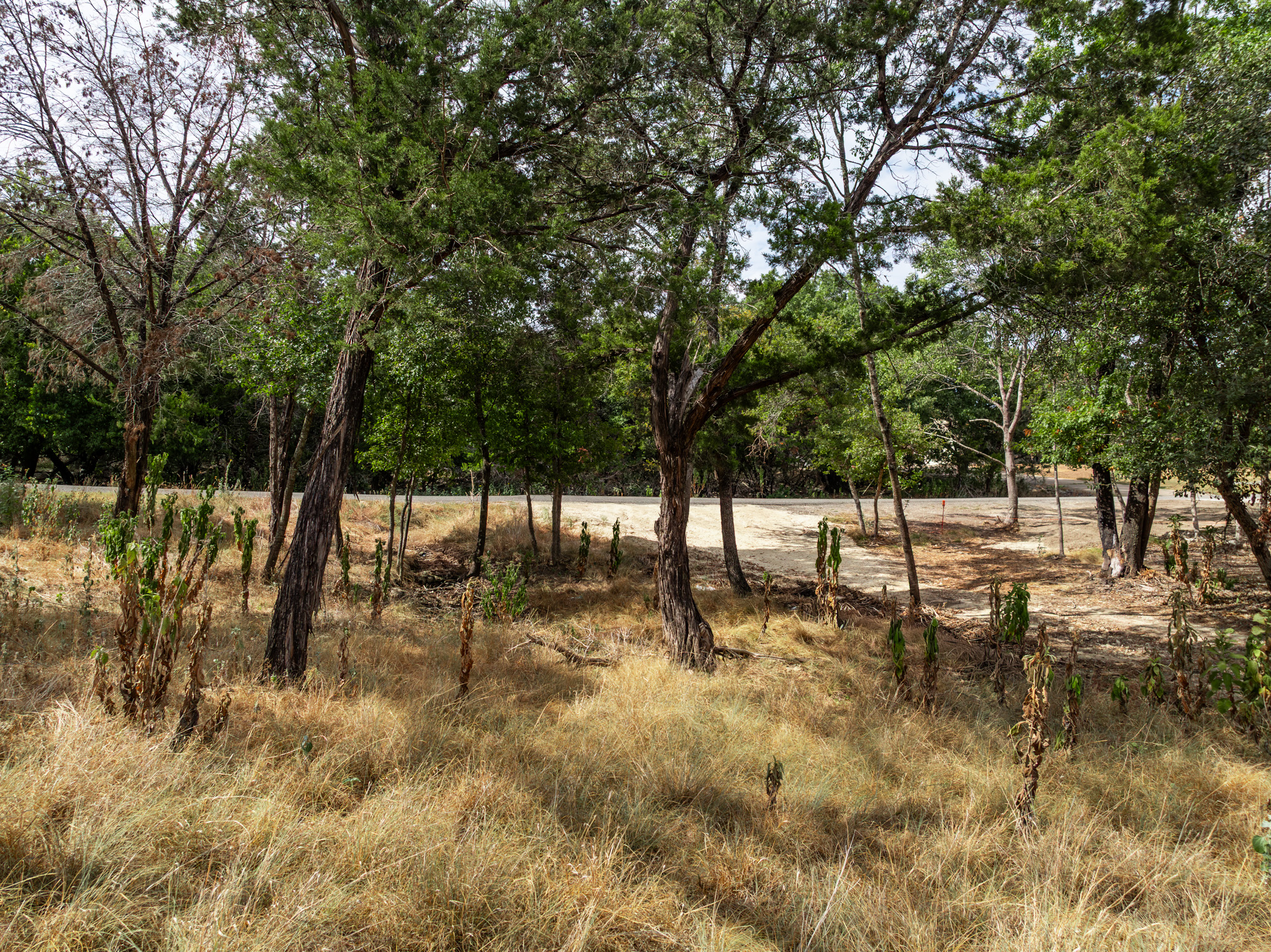 main property photo 26