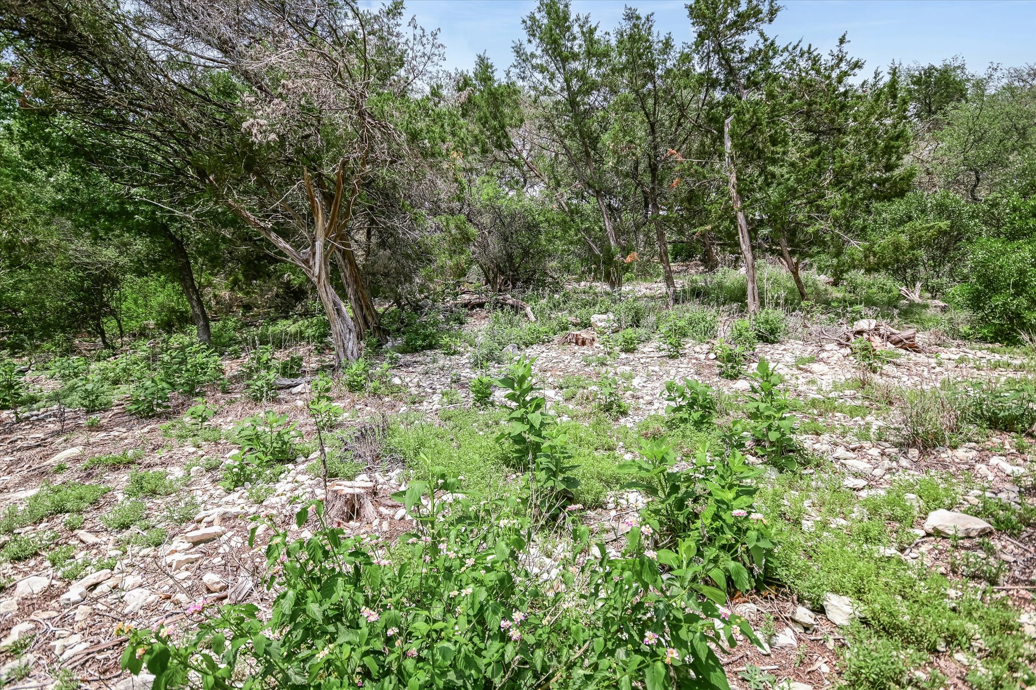 main property photo 24