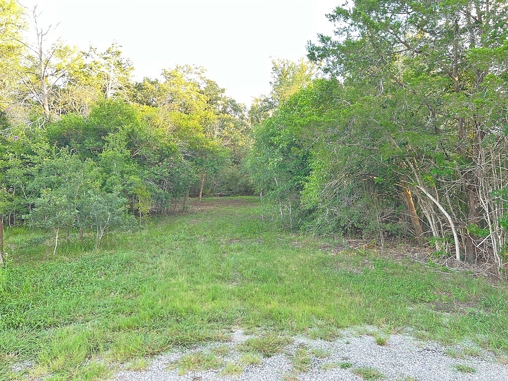 main property photo 4