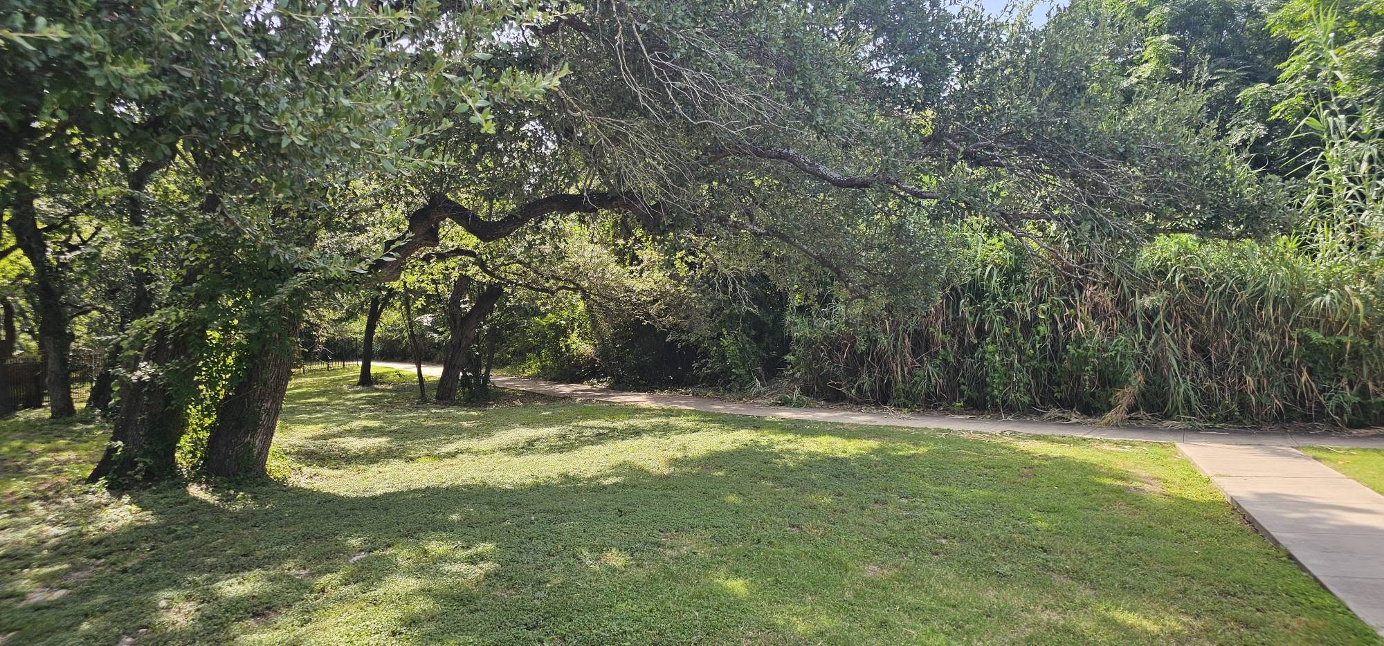 main property photo 29