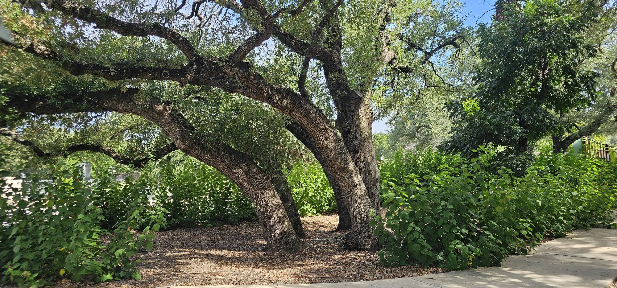 main property photo 30