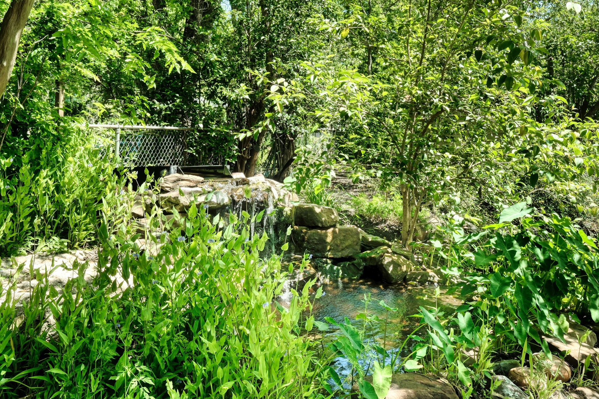 main property photo 20