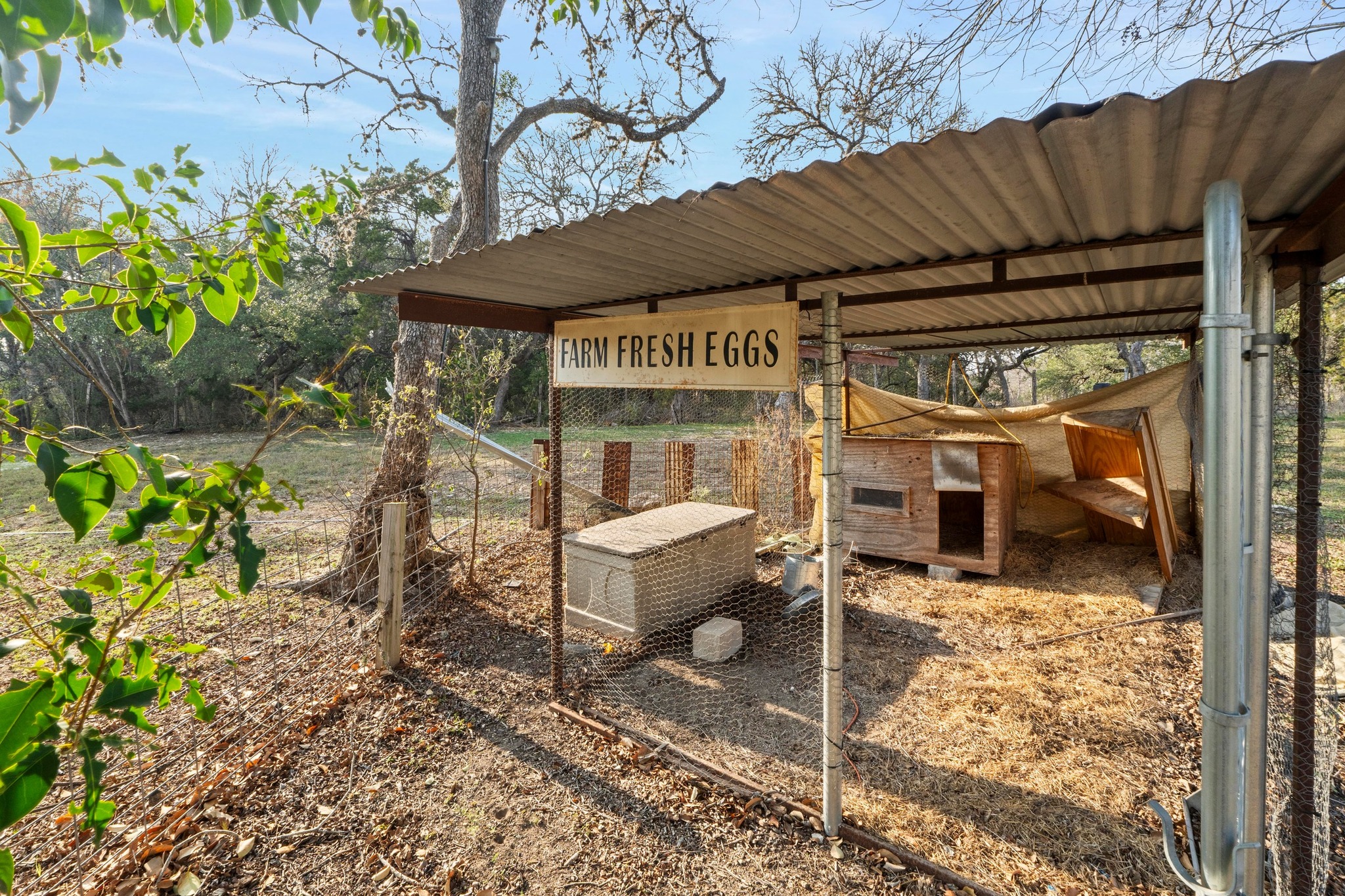 main property photo 31