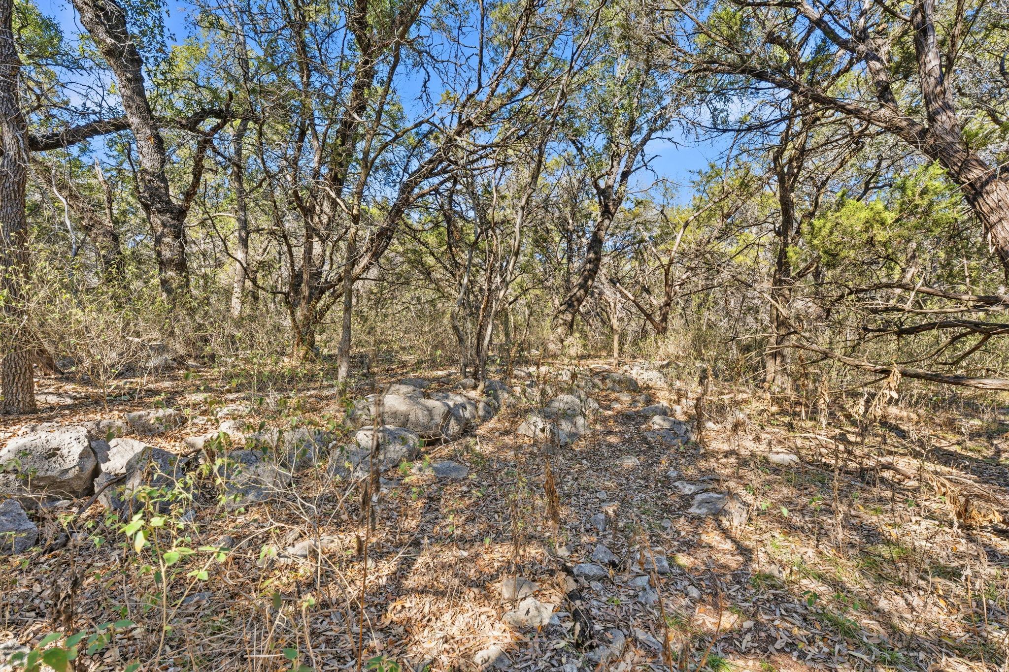 main property photo 14