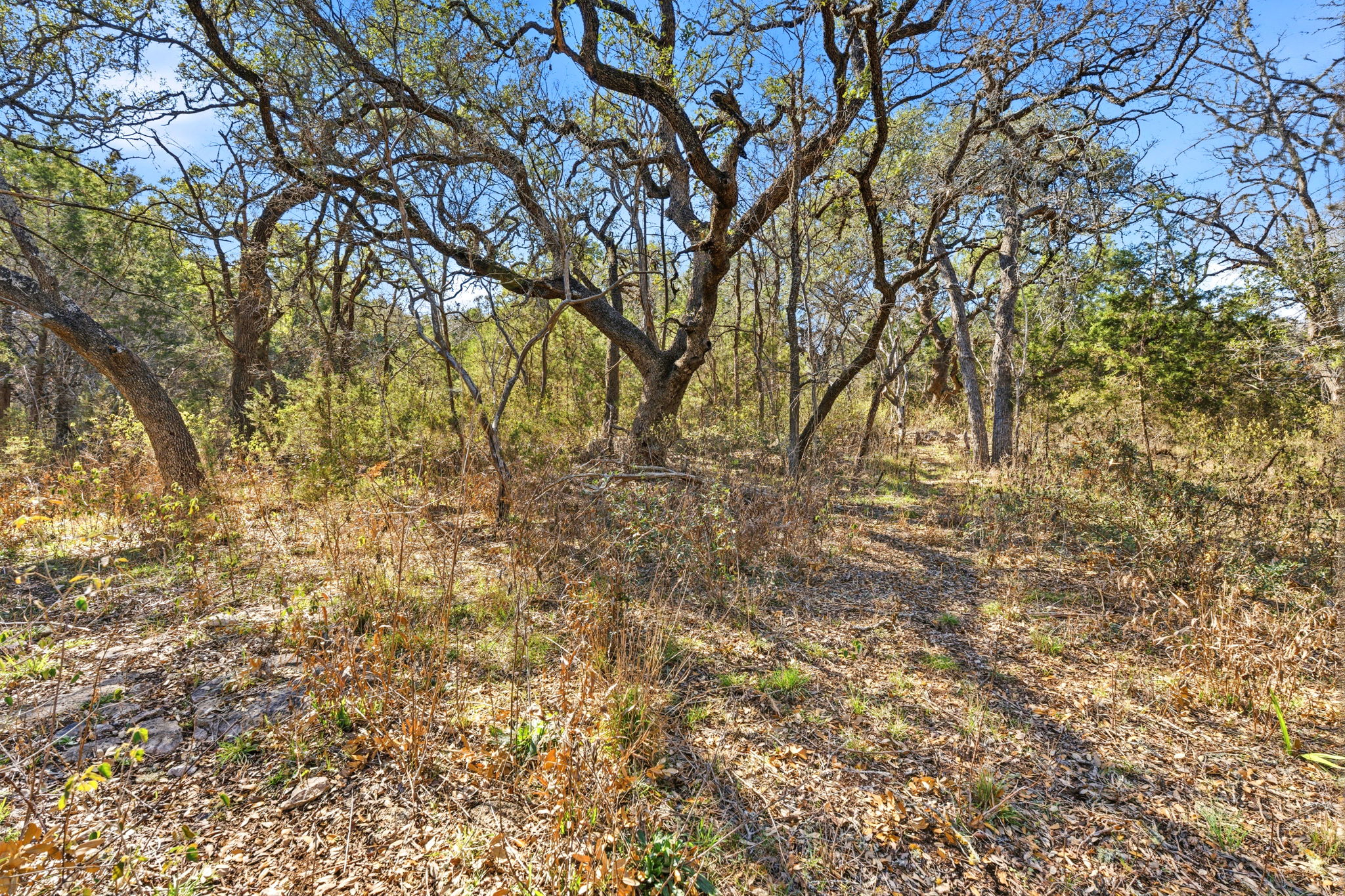 main property photo 16