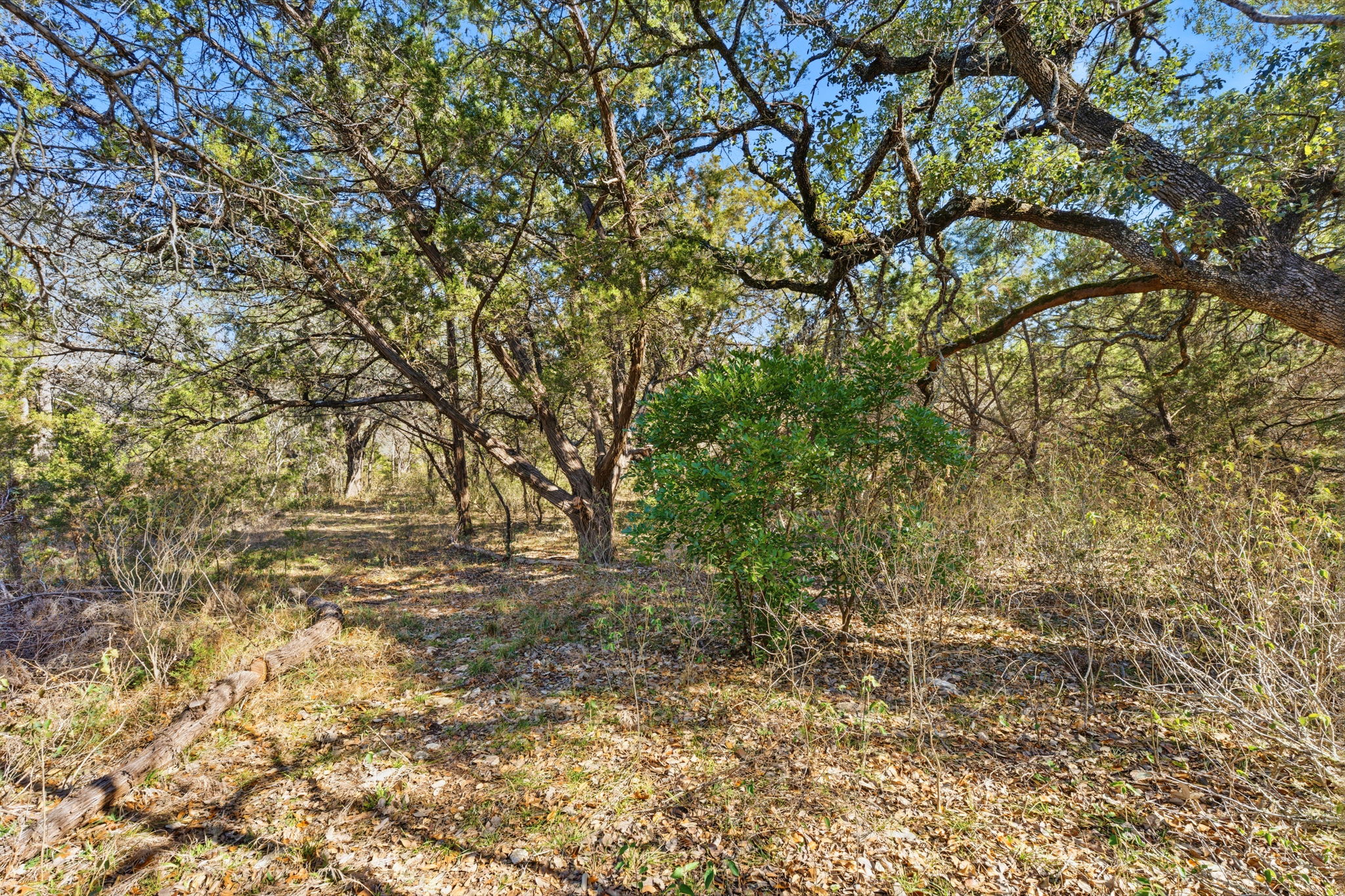 main property photo 26