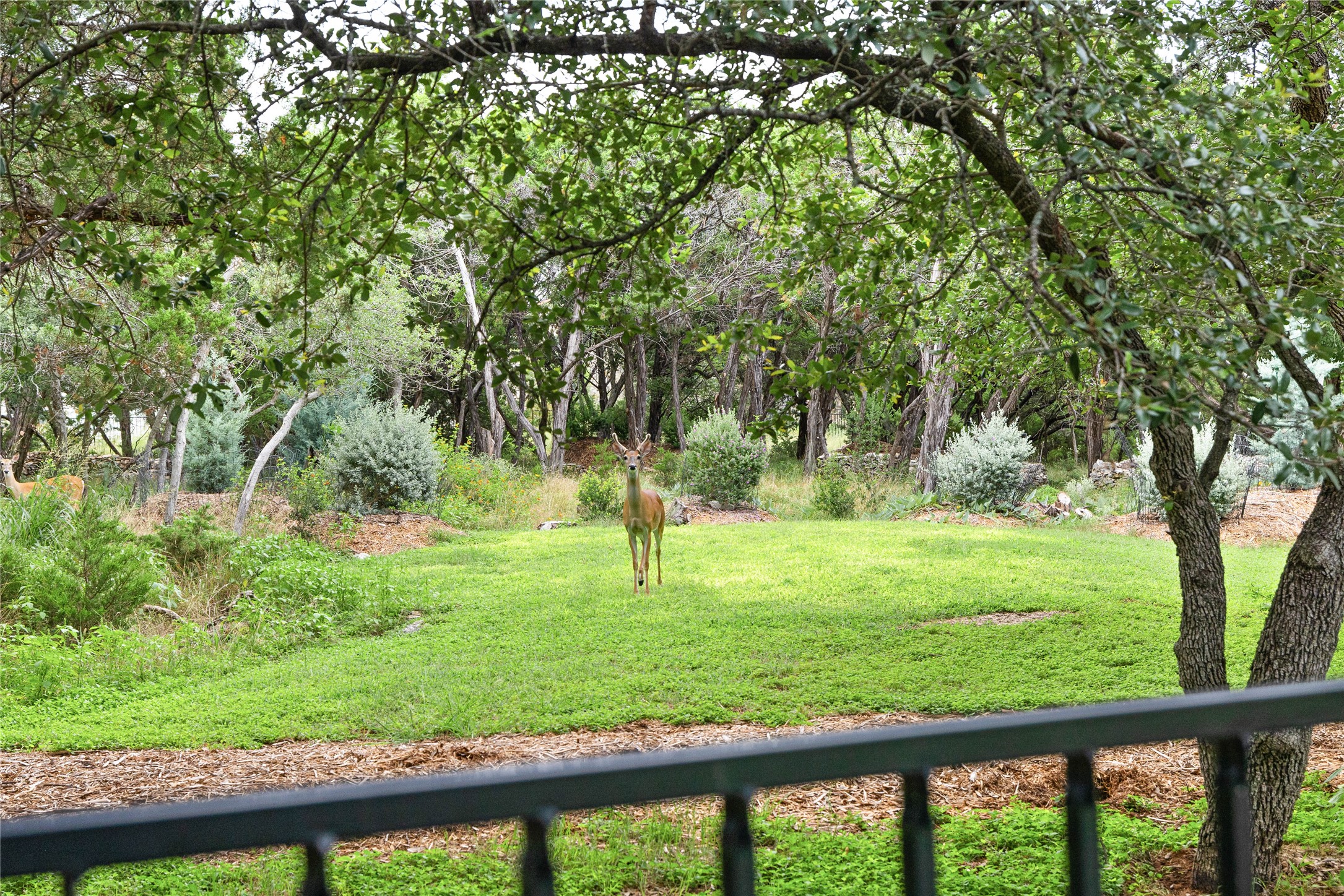 main property photo 39
