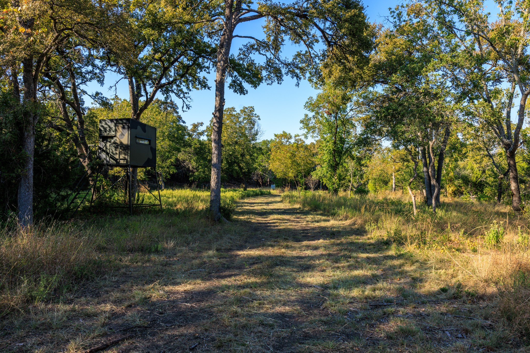 main property photo 34