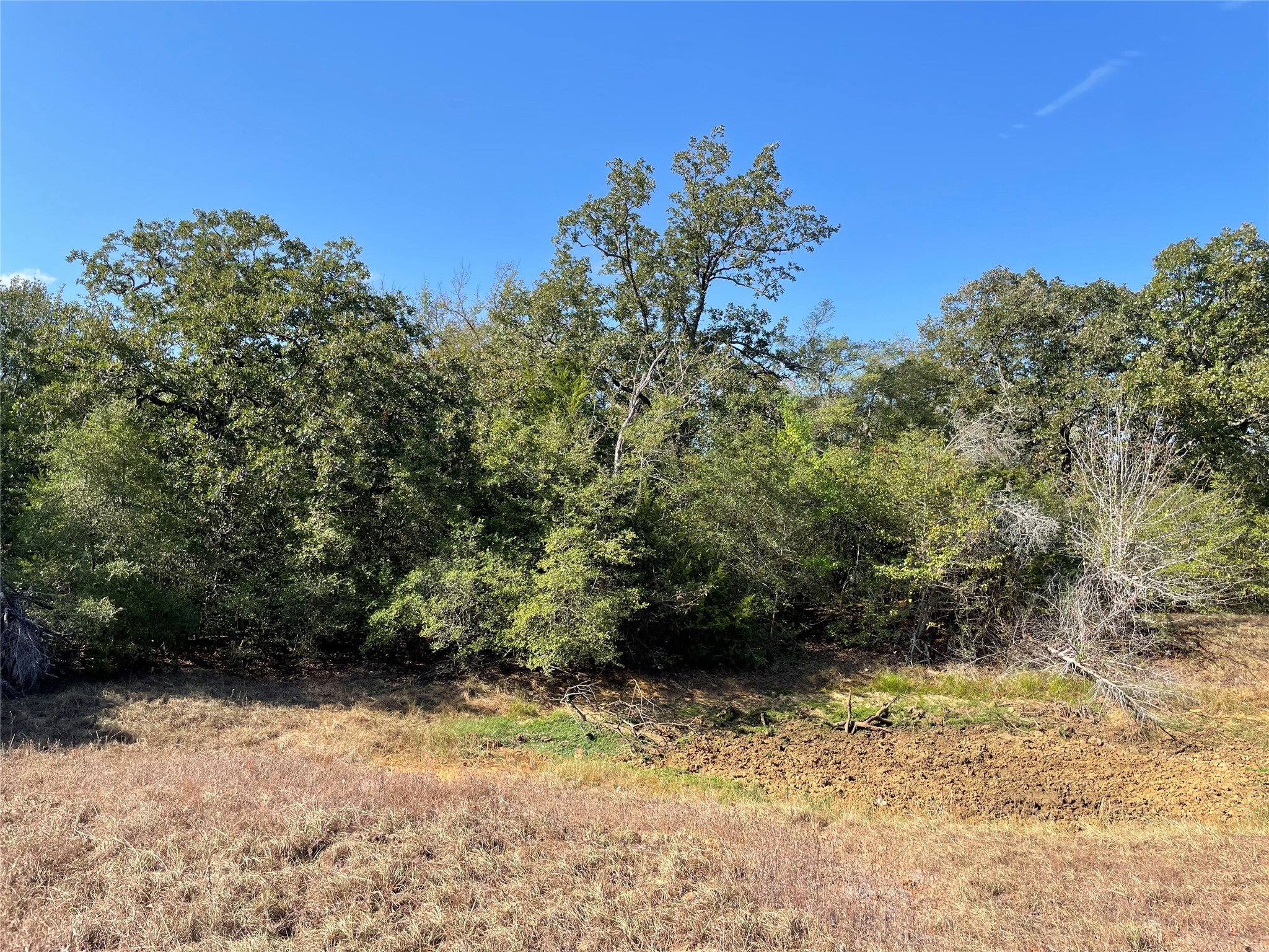 main property photo 10