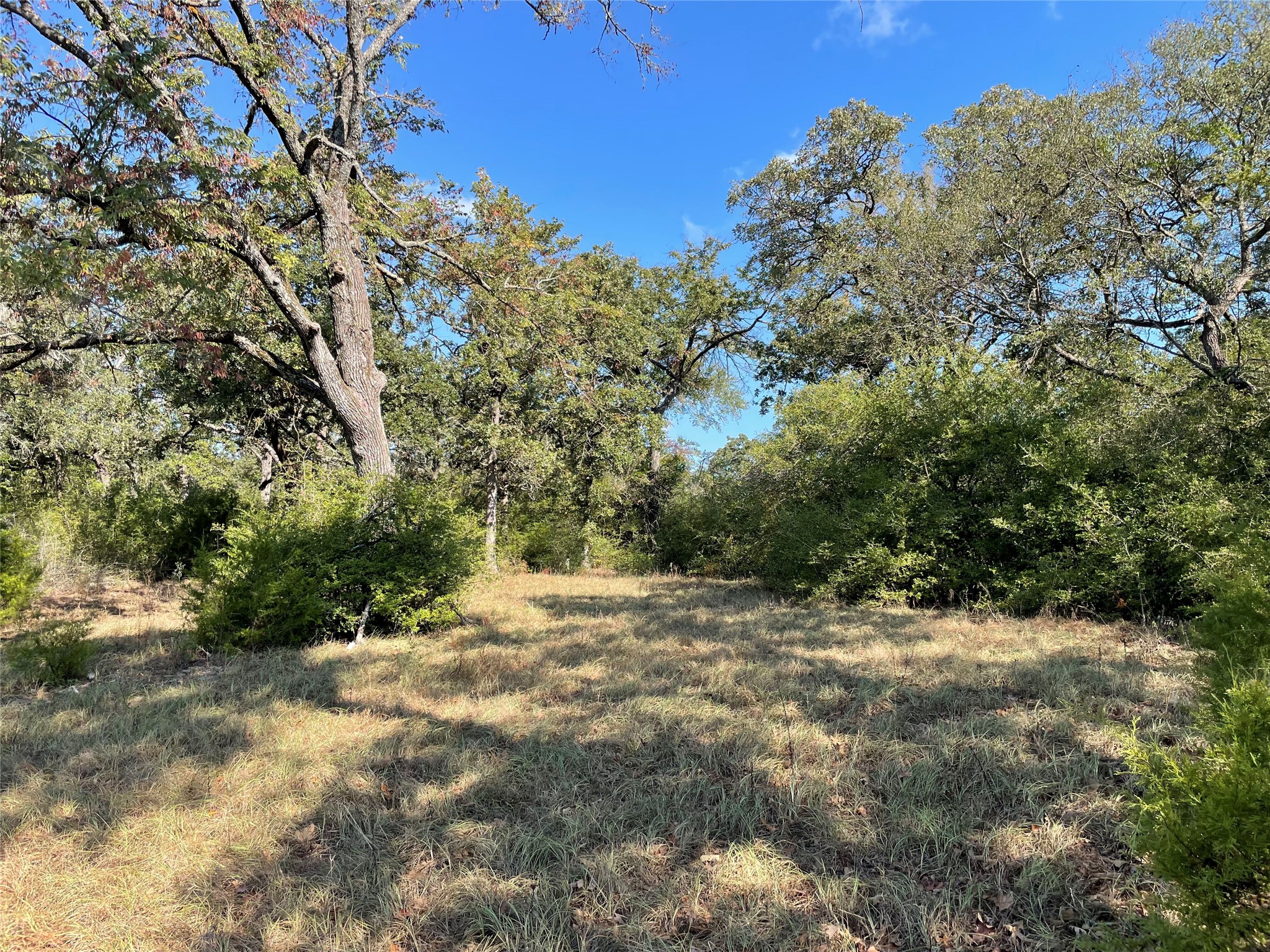 main property photo 11