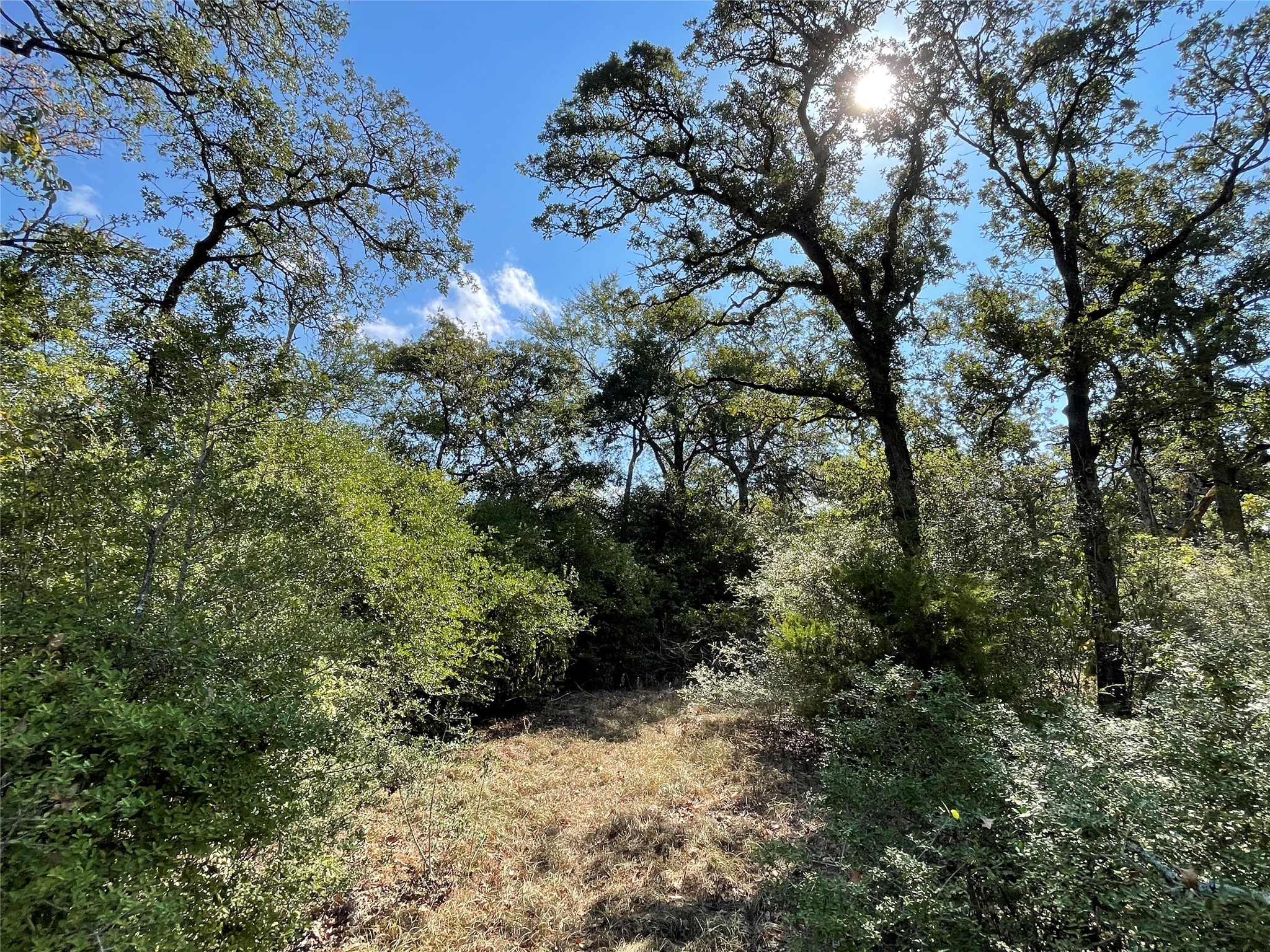 main property photo 12