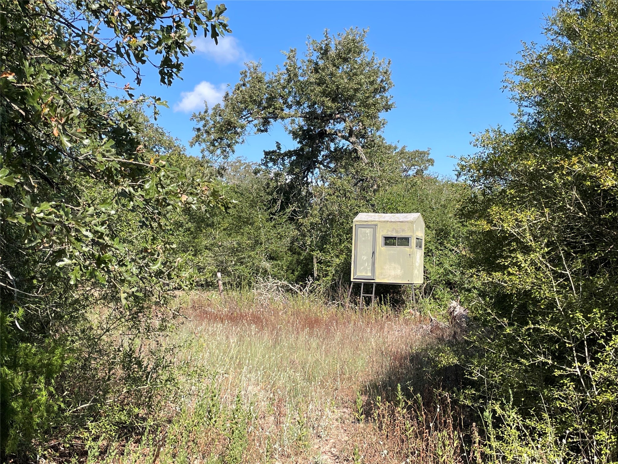 main property photo 14