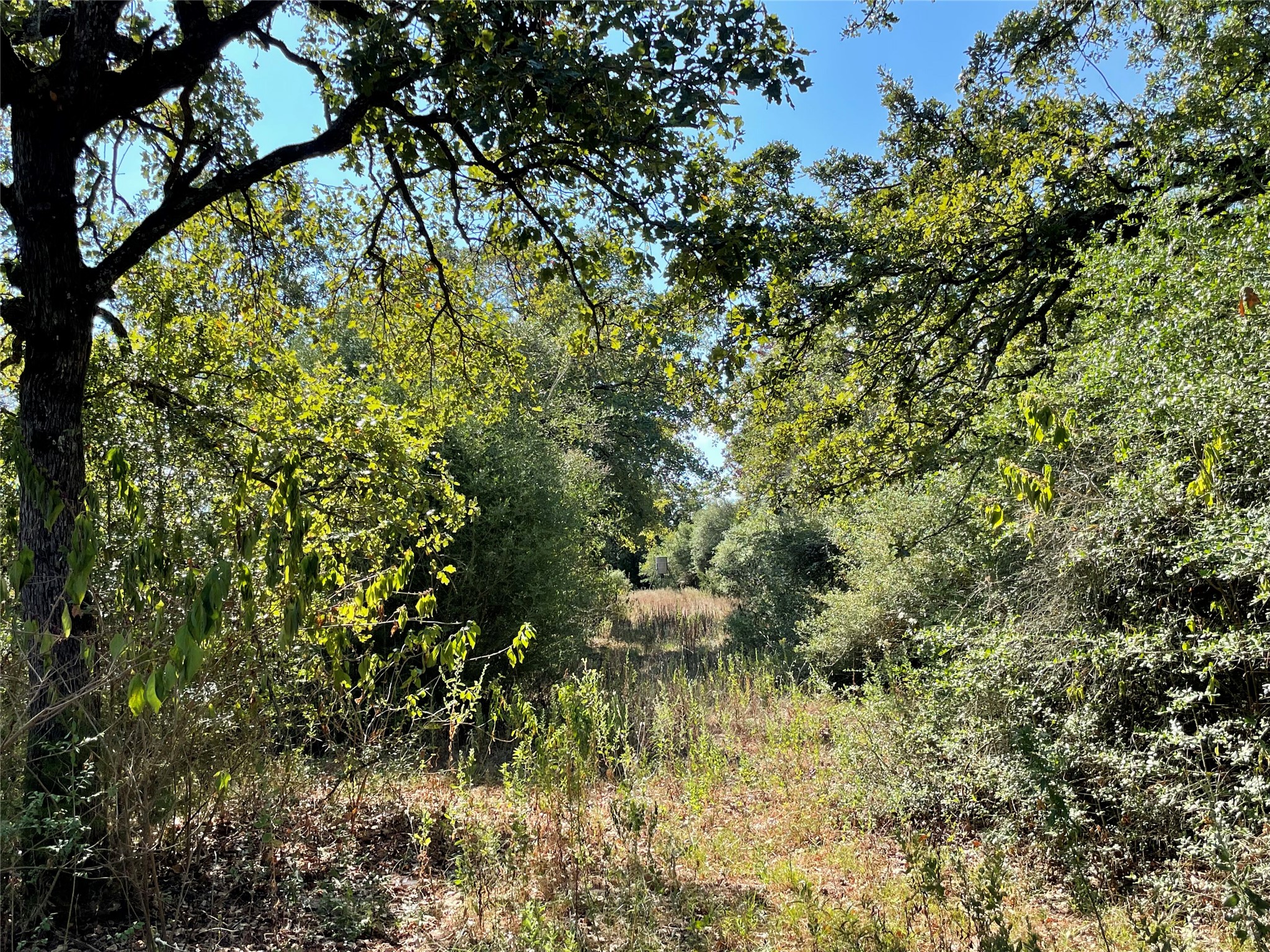 main property photo 15