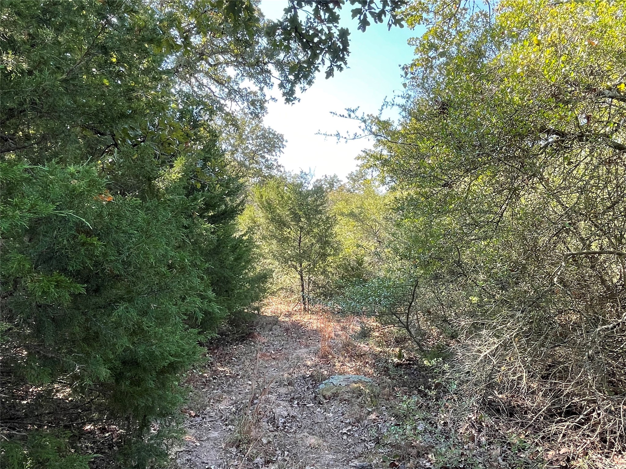main property photo 17