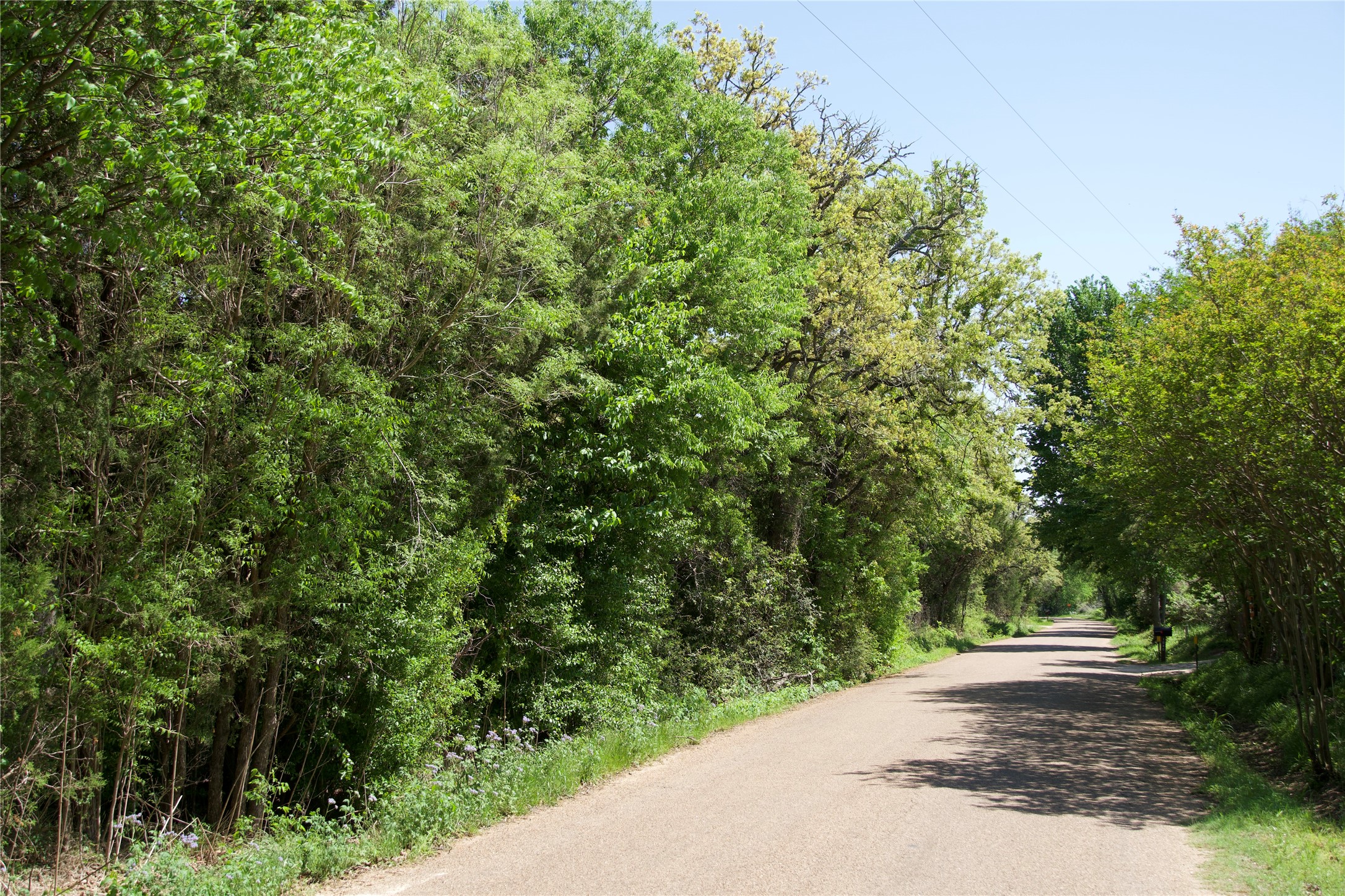 main property photo 15